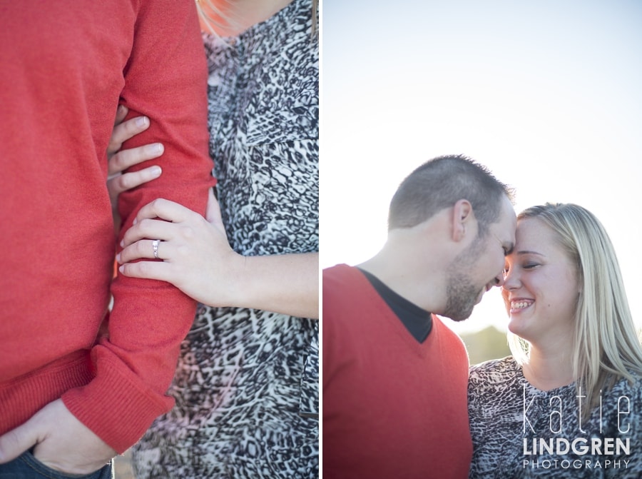 Jester Park Engagement Photos