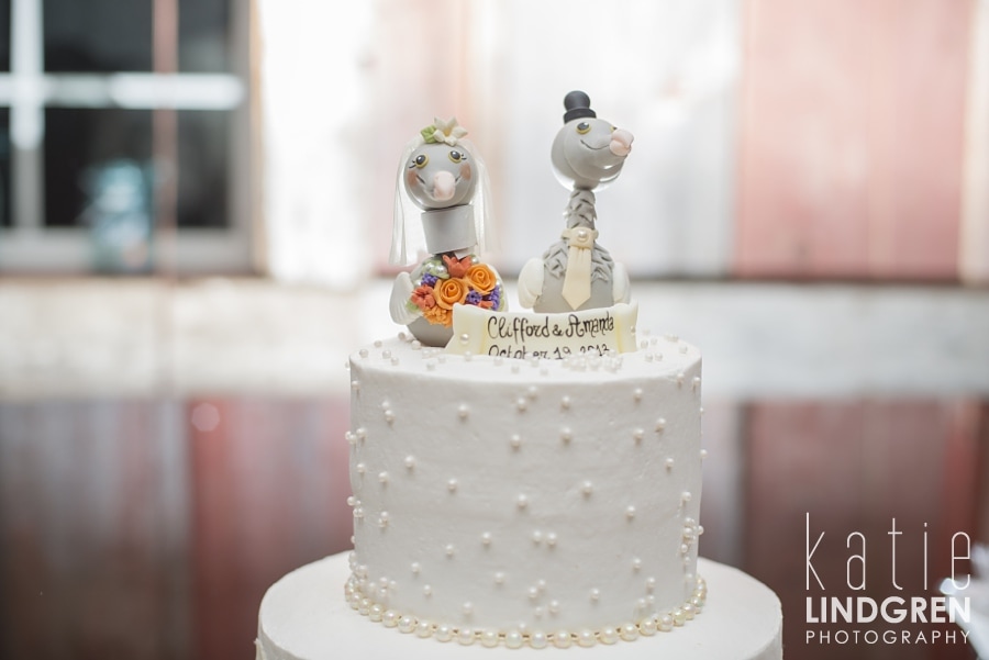 Des Moines - Iowa - Wedding Photographer