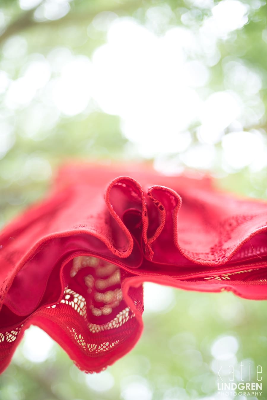Des Moines - Iowa - Wedding Photographer