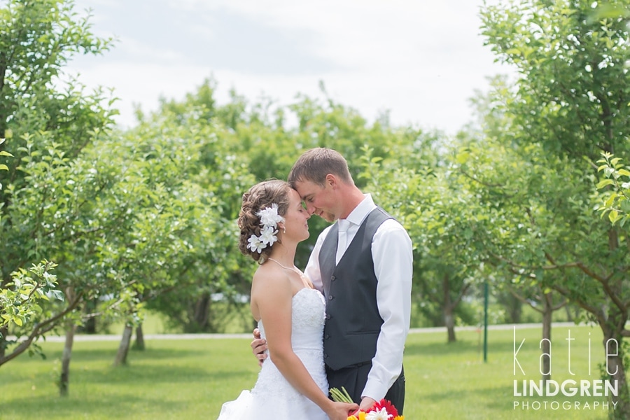Des Moines - Iowa - Wedding Photographer