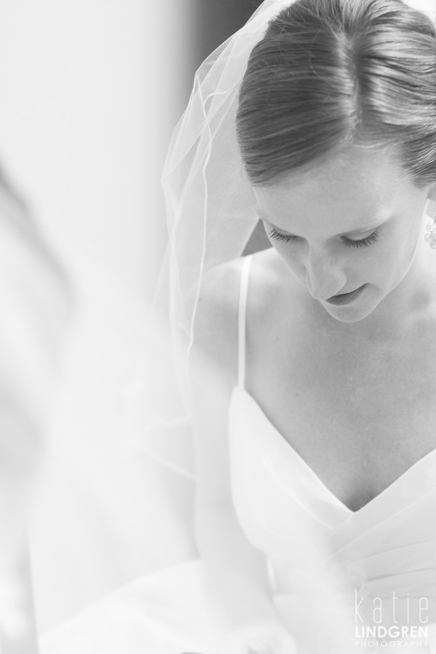 Des Moines - Iowa - Wedding Photographer