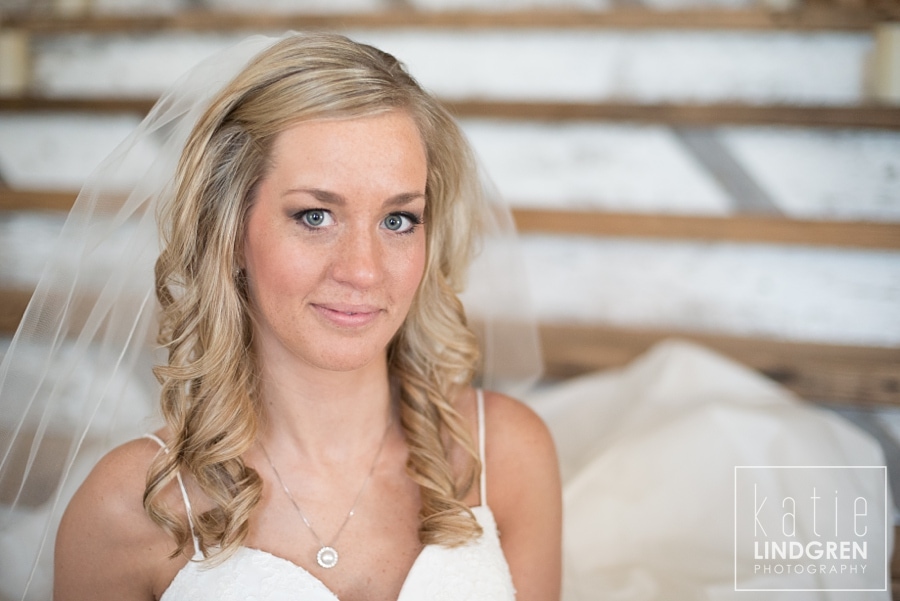 Barnes Place Wedding and Reception