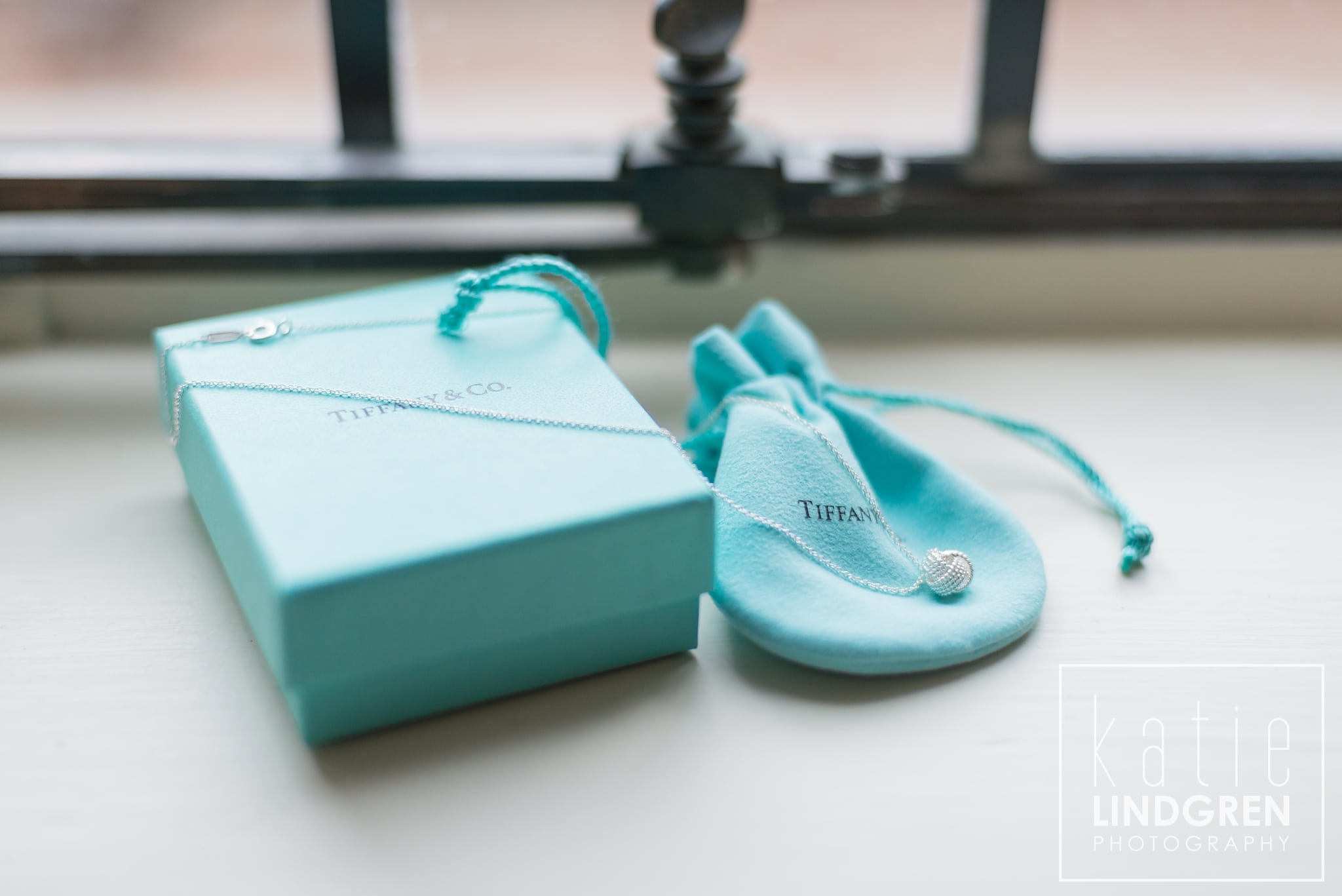 Rollins Mansion Wedding Photos