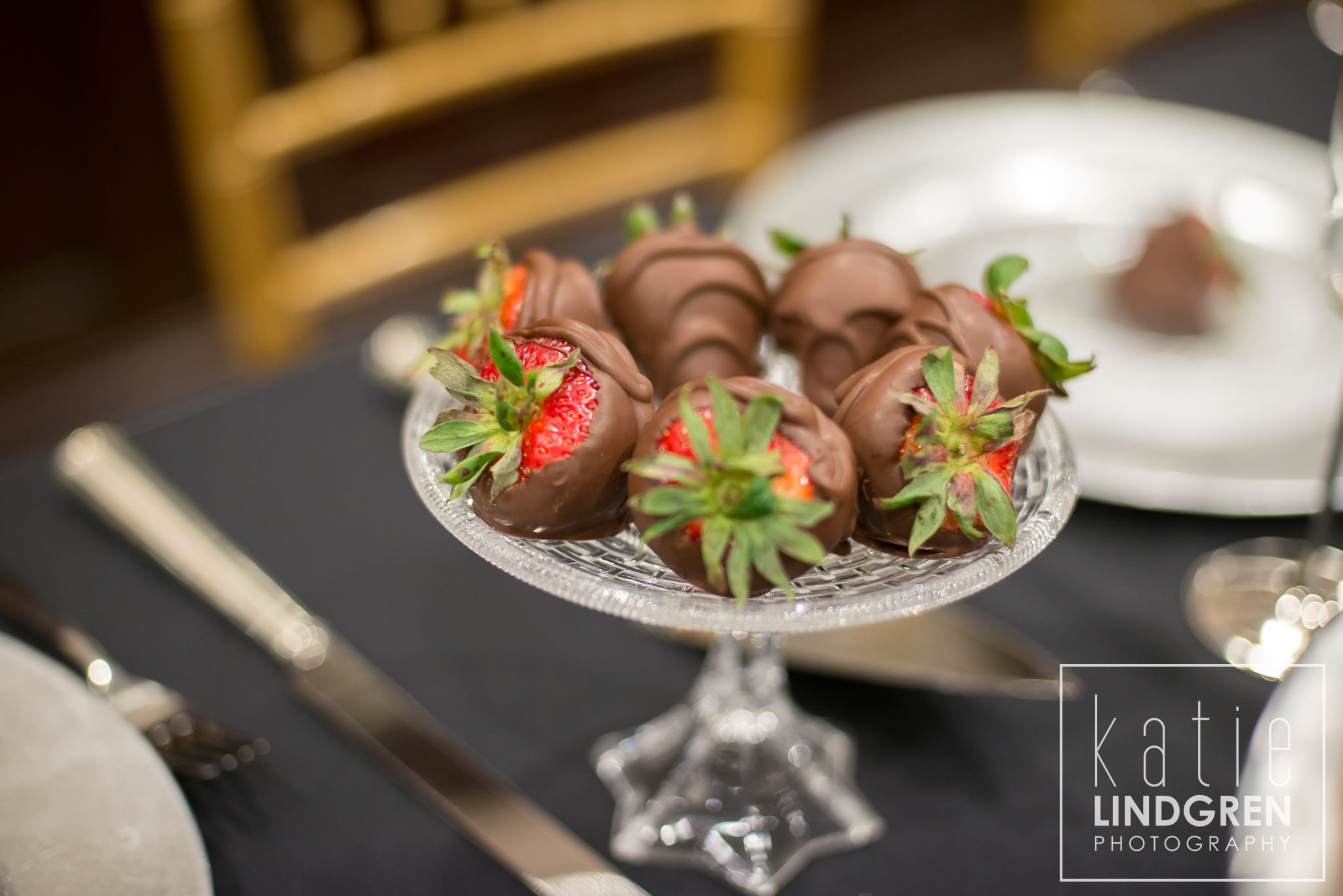 Rollins Mansion Wedding Photos