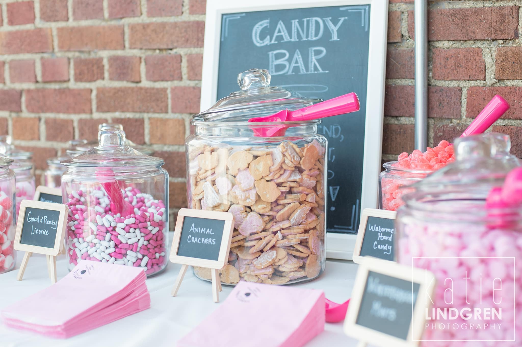 Rollins Mansion Wedding Photos