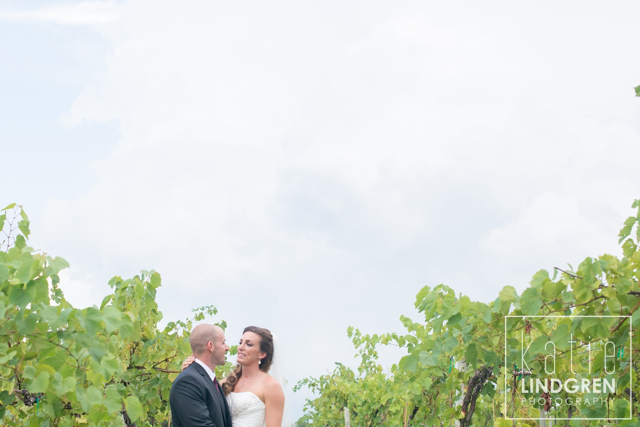 Summerset Winery Wedding