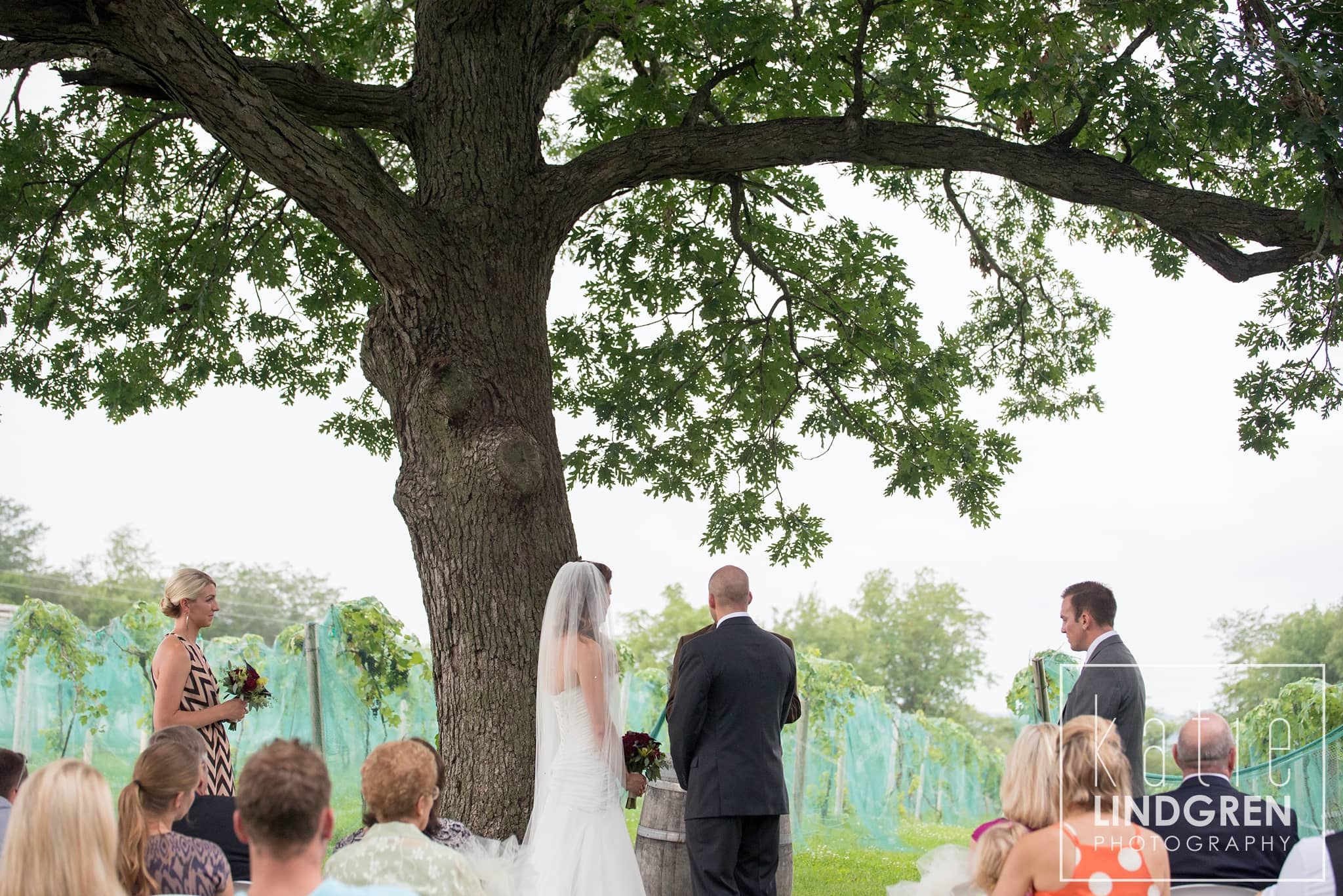 Summerset Winery Wedding
