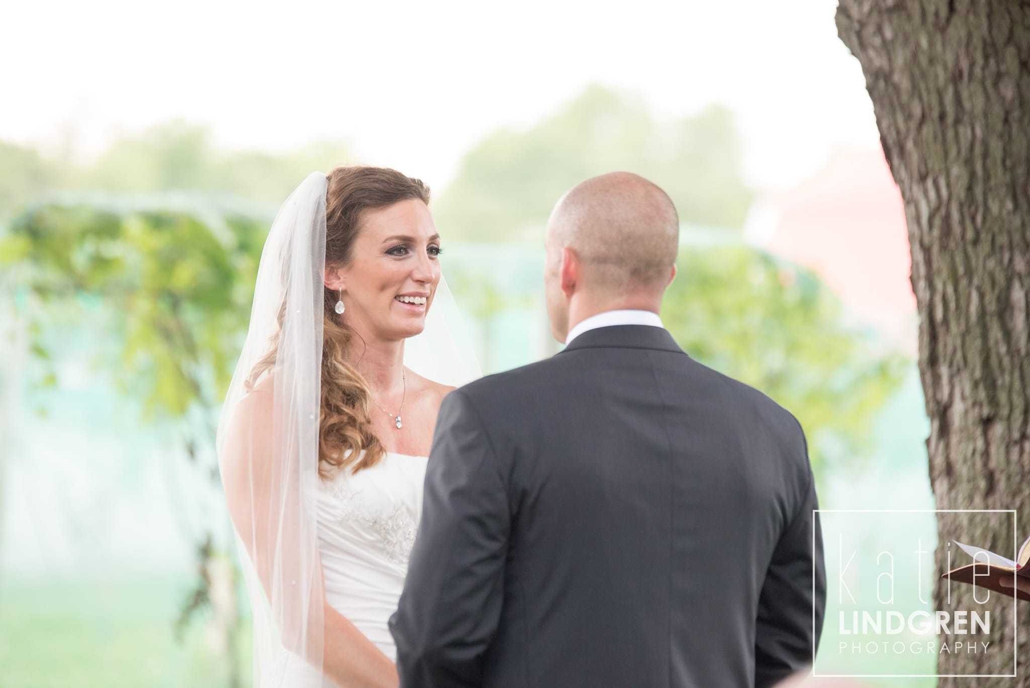 Summerset Winery Wedding