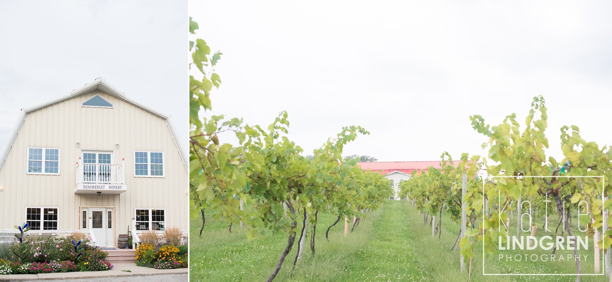 Summerset Winery Wedding