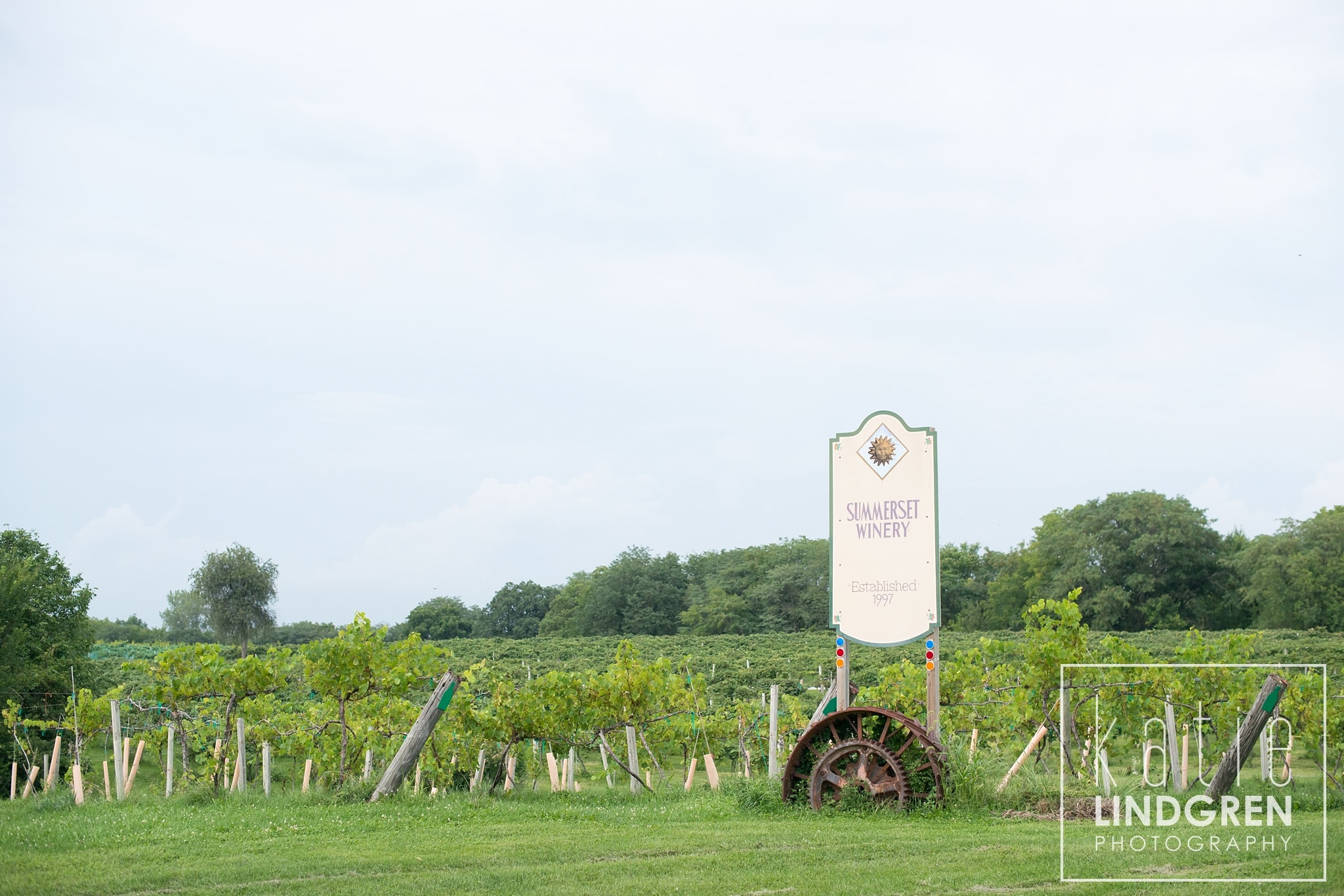 Summerset Winery Wedding