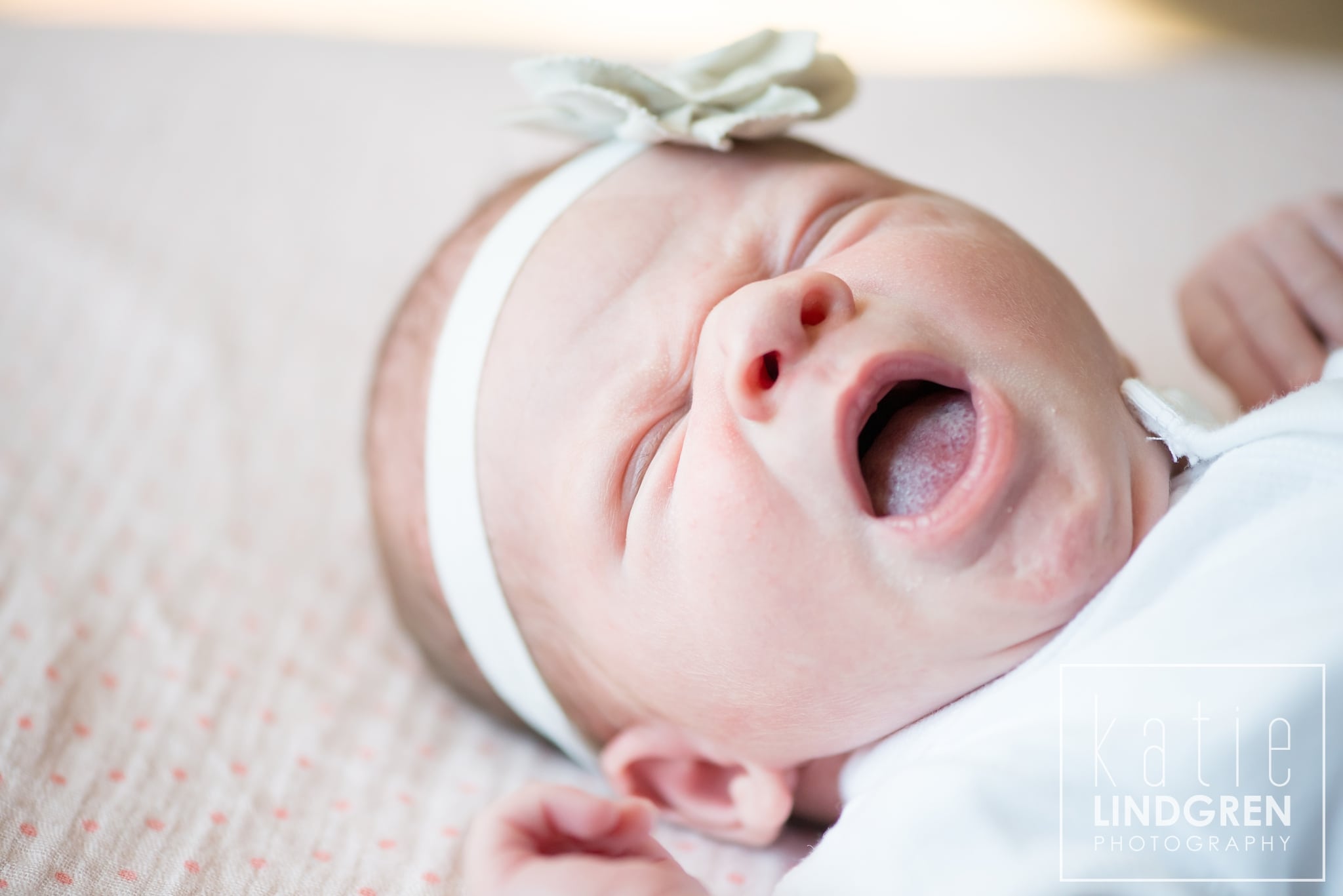 Iowa Newborn Photography