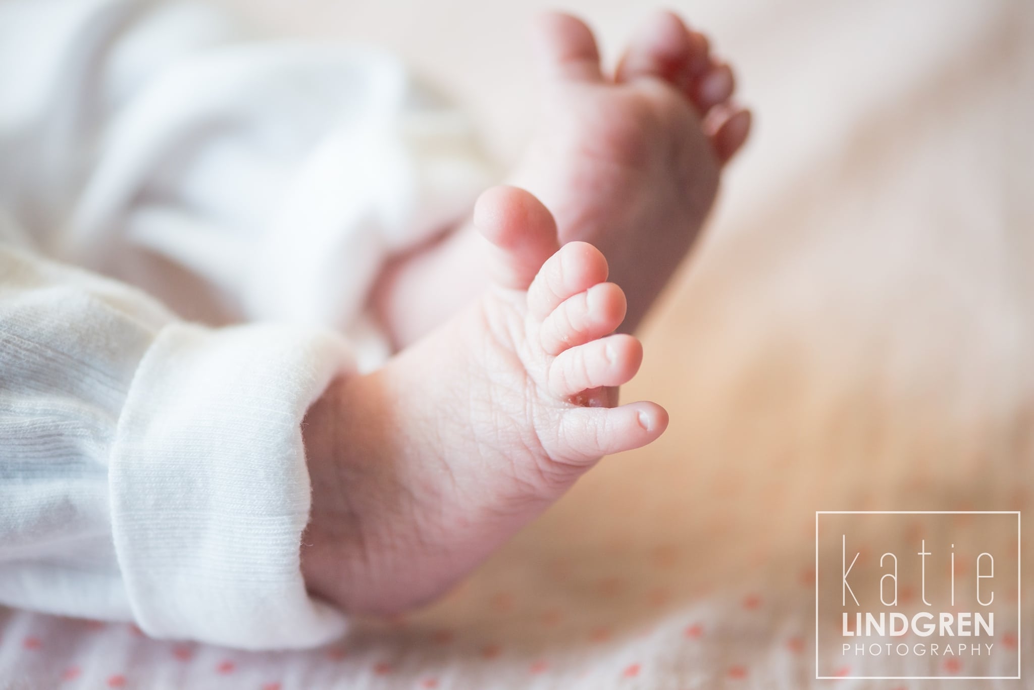 Iowa Newborn Photography