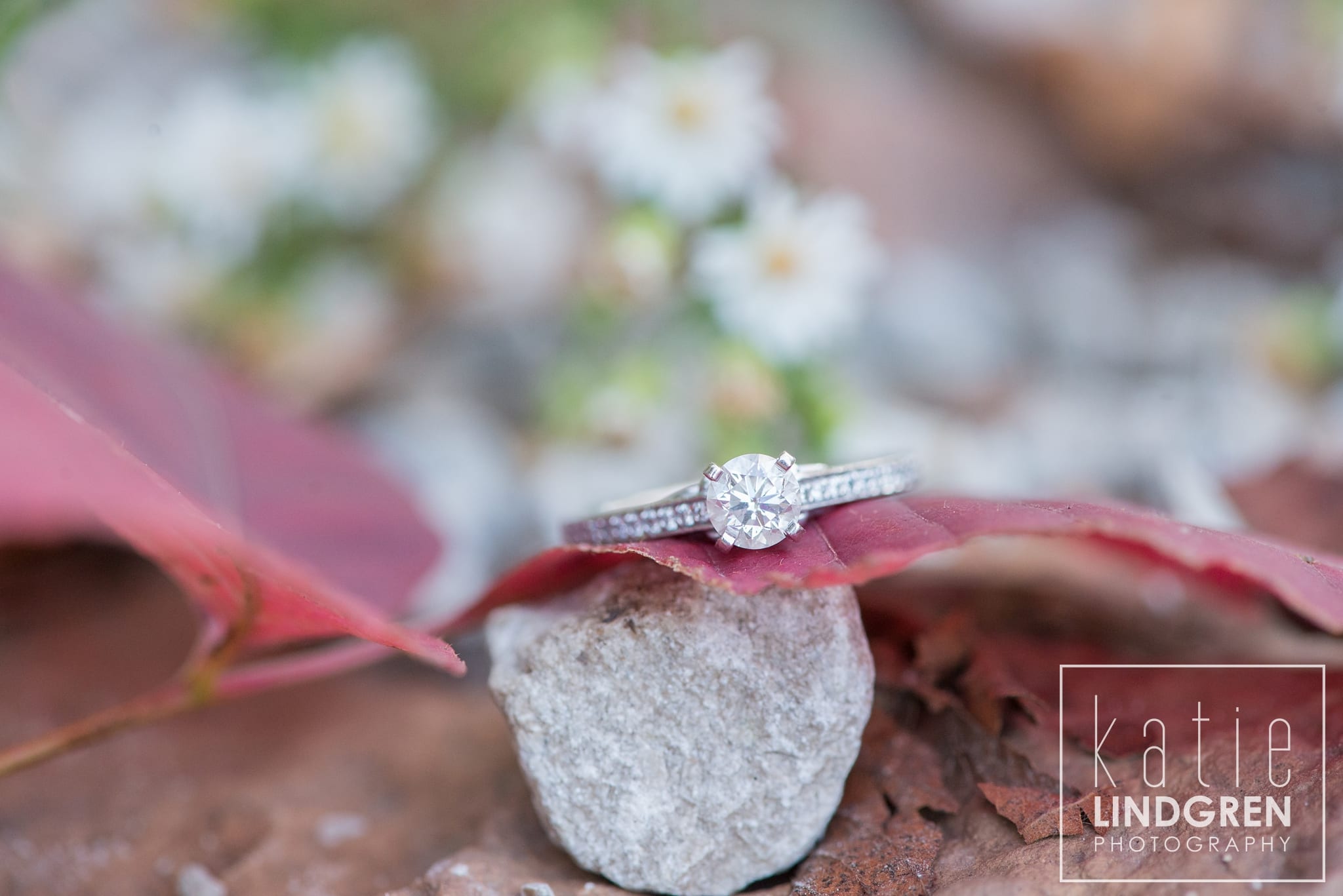 Saylorville Sunrise Engagement Photos