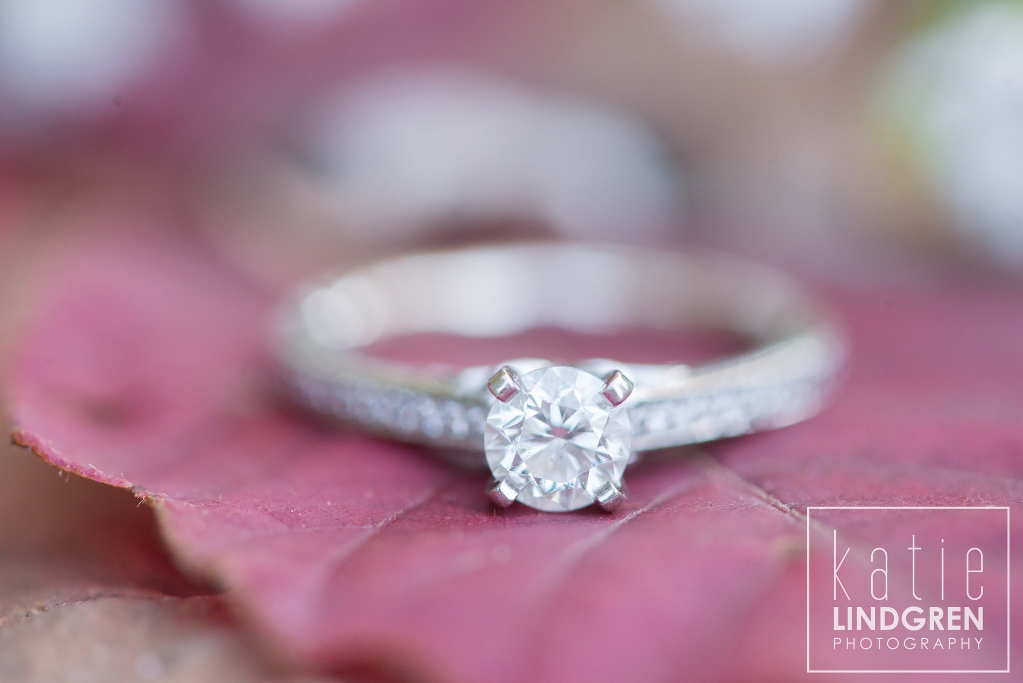 Saylorville Sunrise Engagement Photos