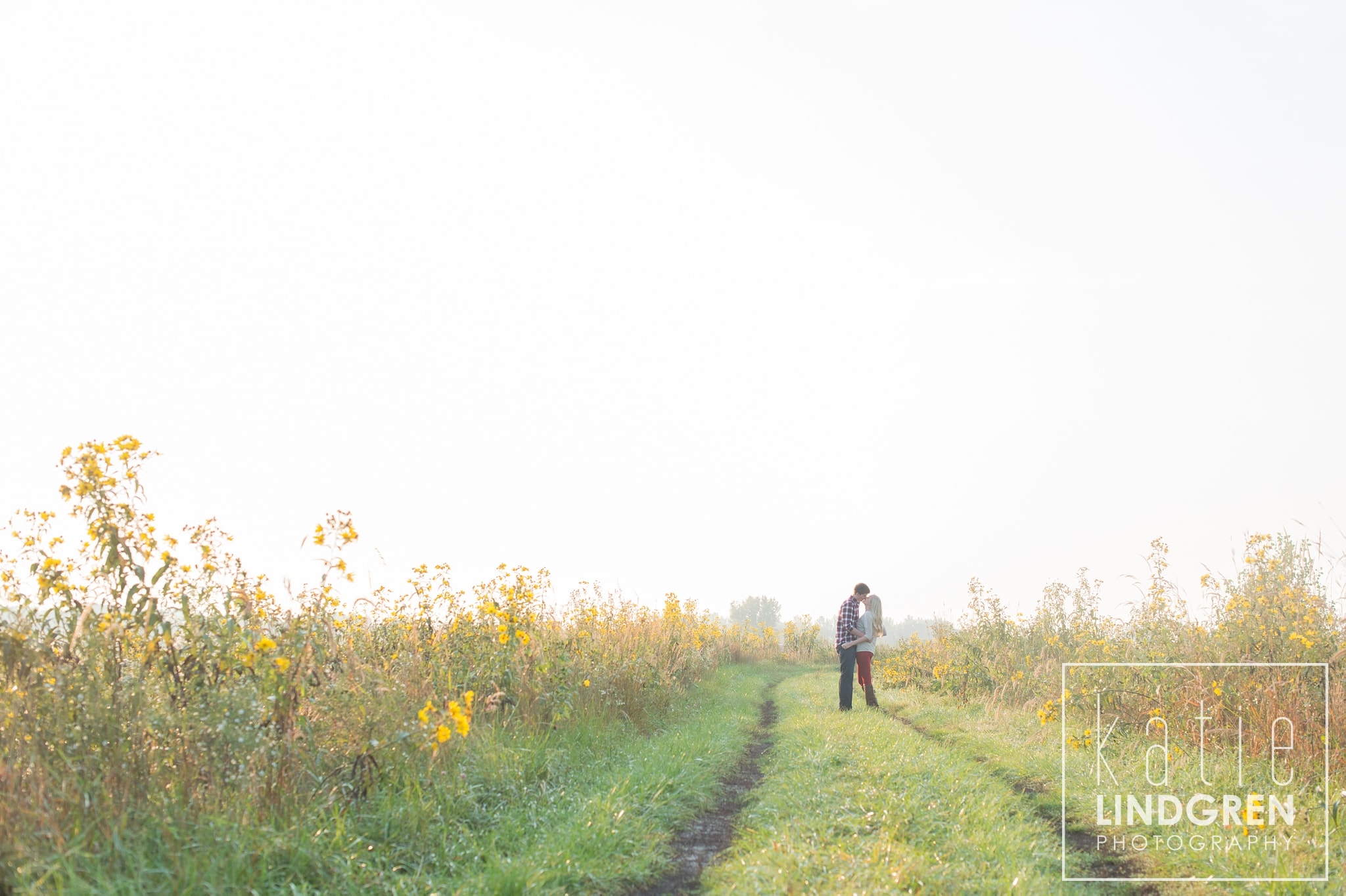 Des Moines-Iowa-Engagement-Photographer