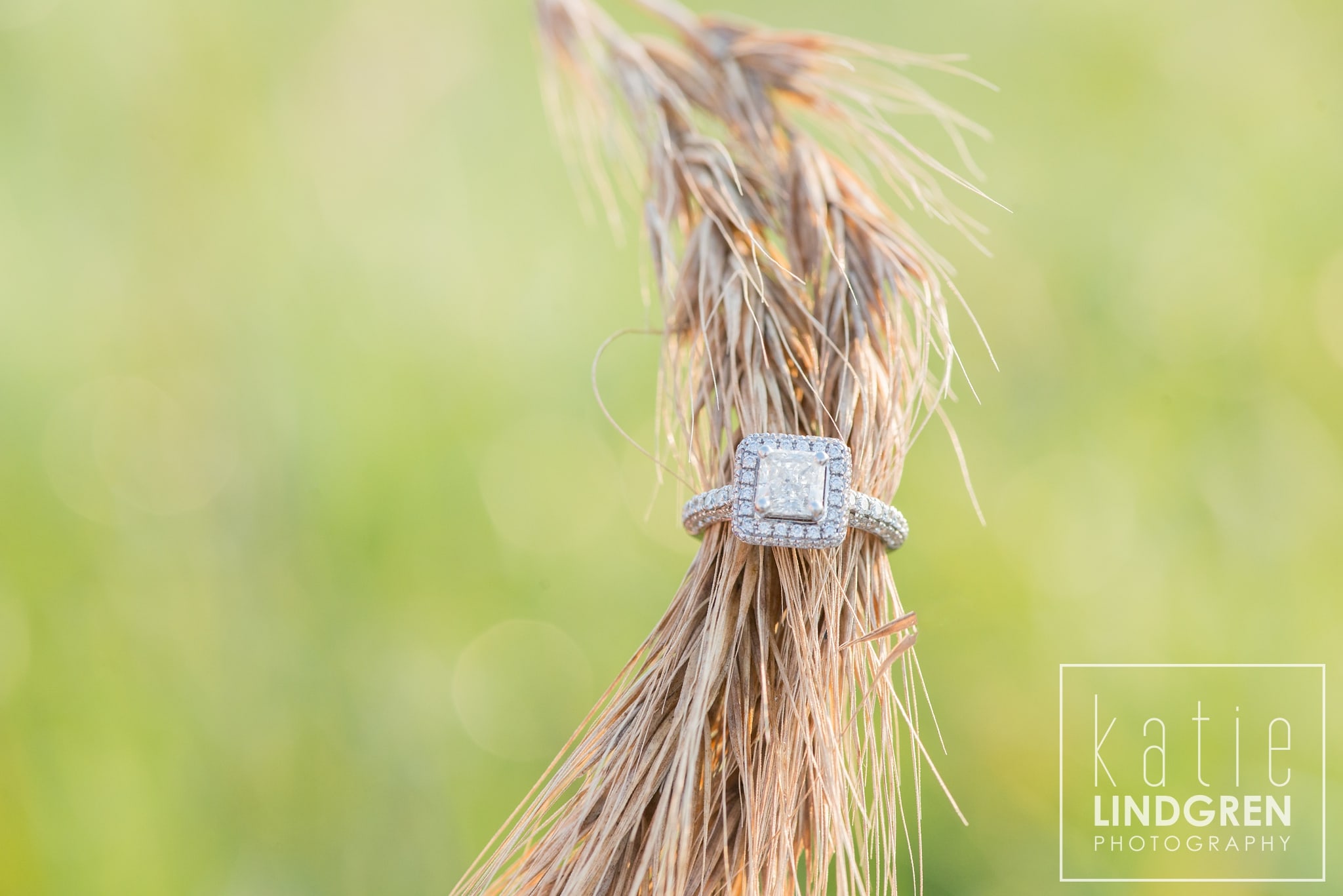 Des Moines-Iowa-Engagement-Photographer