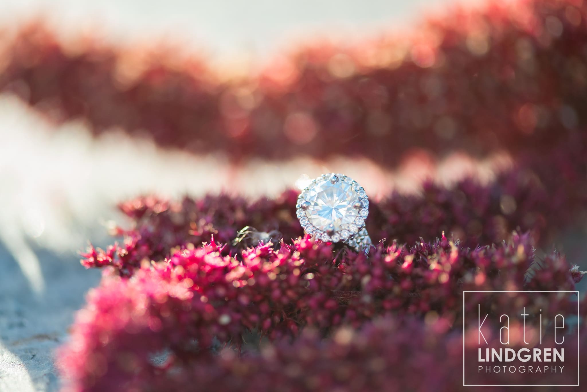 Des Moines Engagement and Wedding Photographers