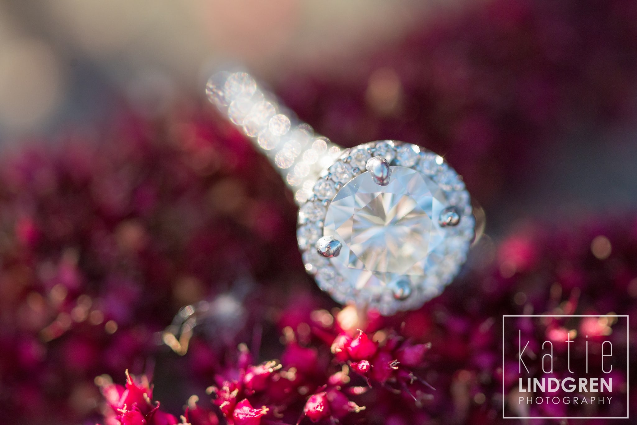 Des Moines Engagement and Wedding Photographers