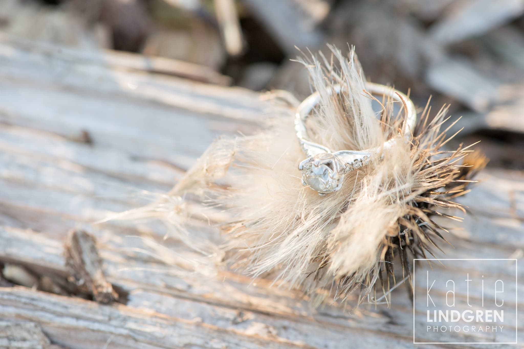 Des Moines Engagement Photos