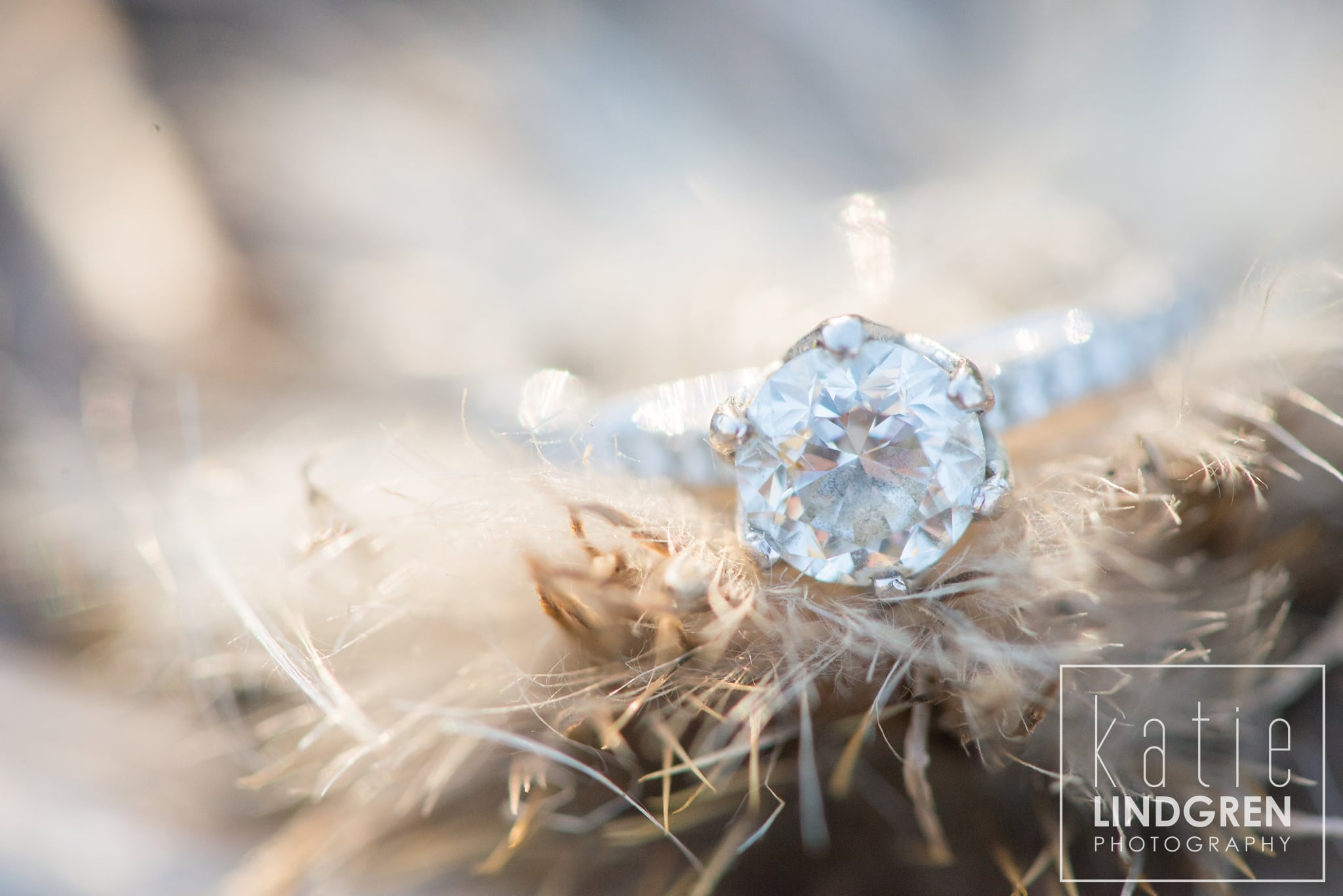 Des Moines Engagement Photos
