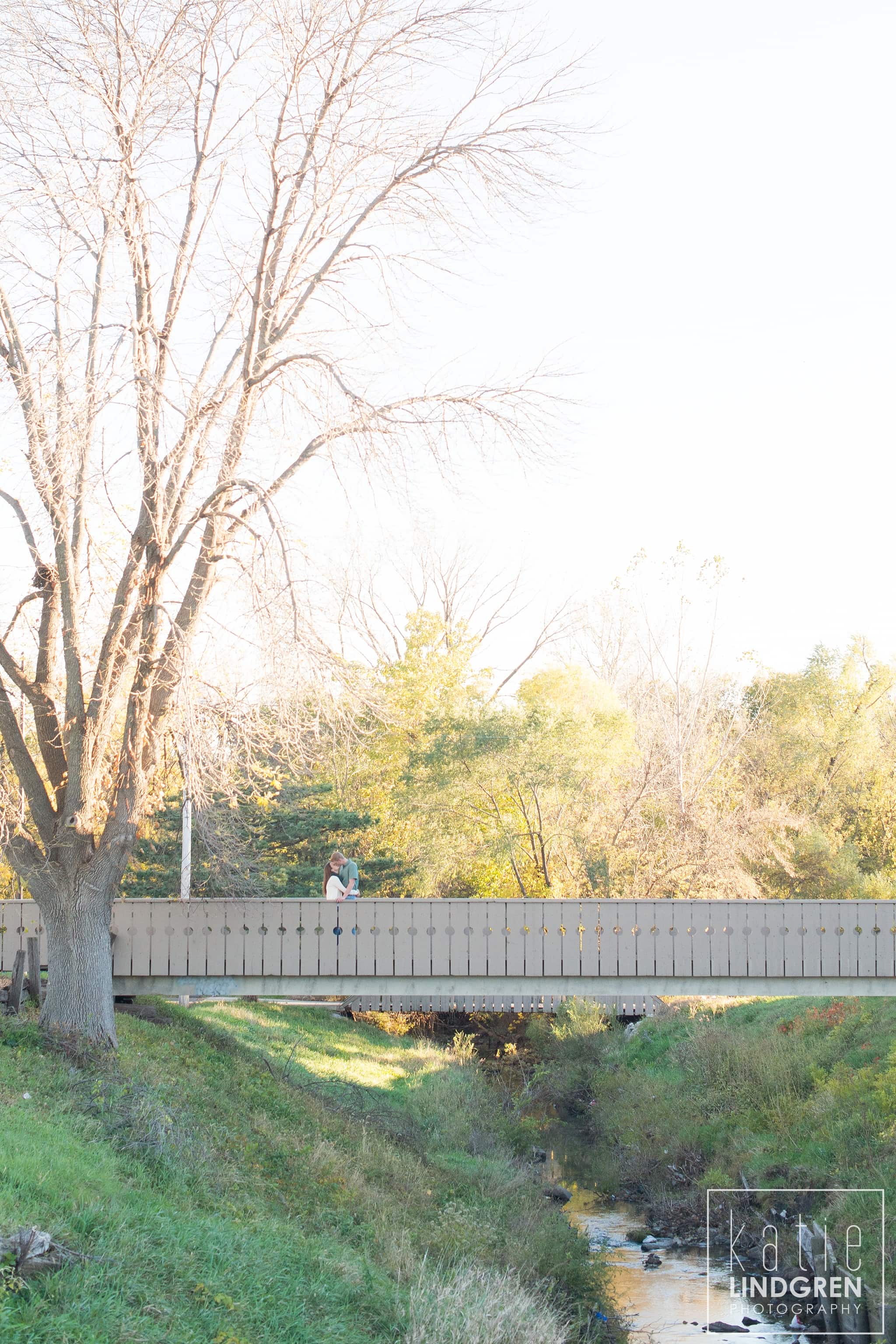 Des Moines Engagement Photos