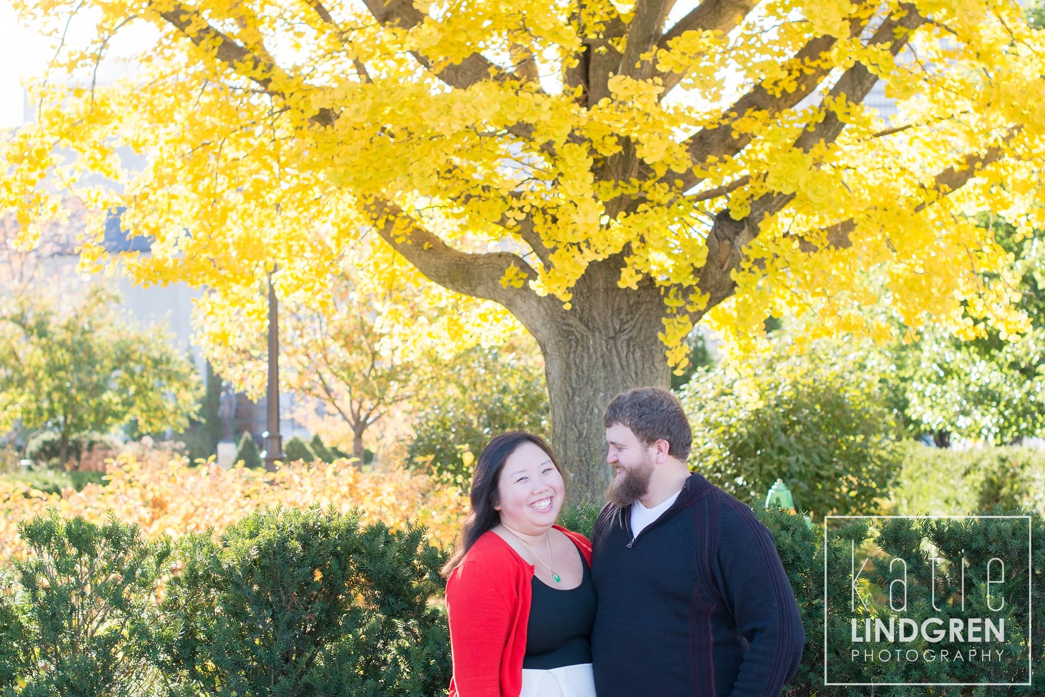 Des Moines Iowa Engagement Photos