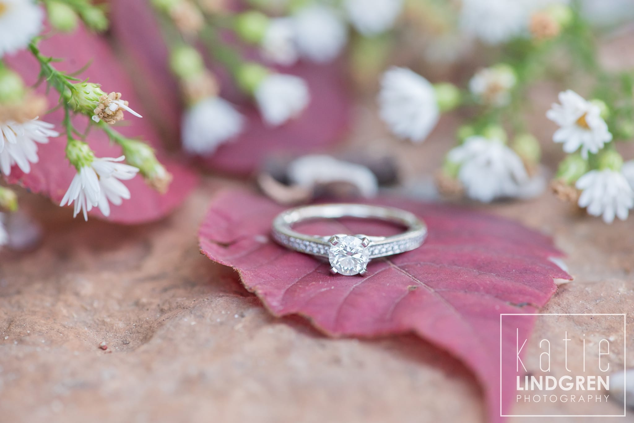 Katie Lindgren Photography