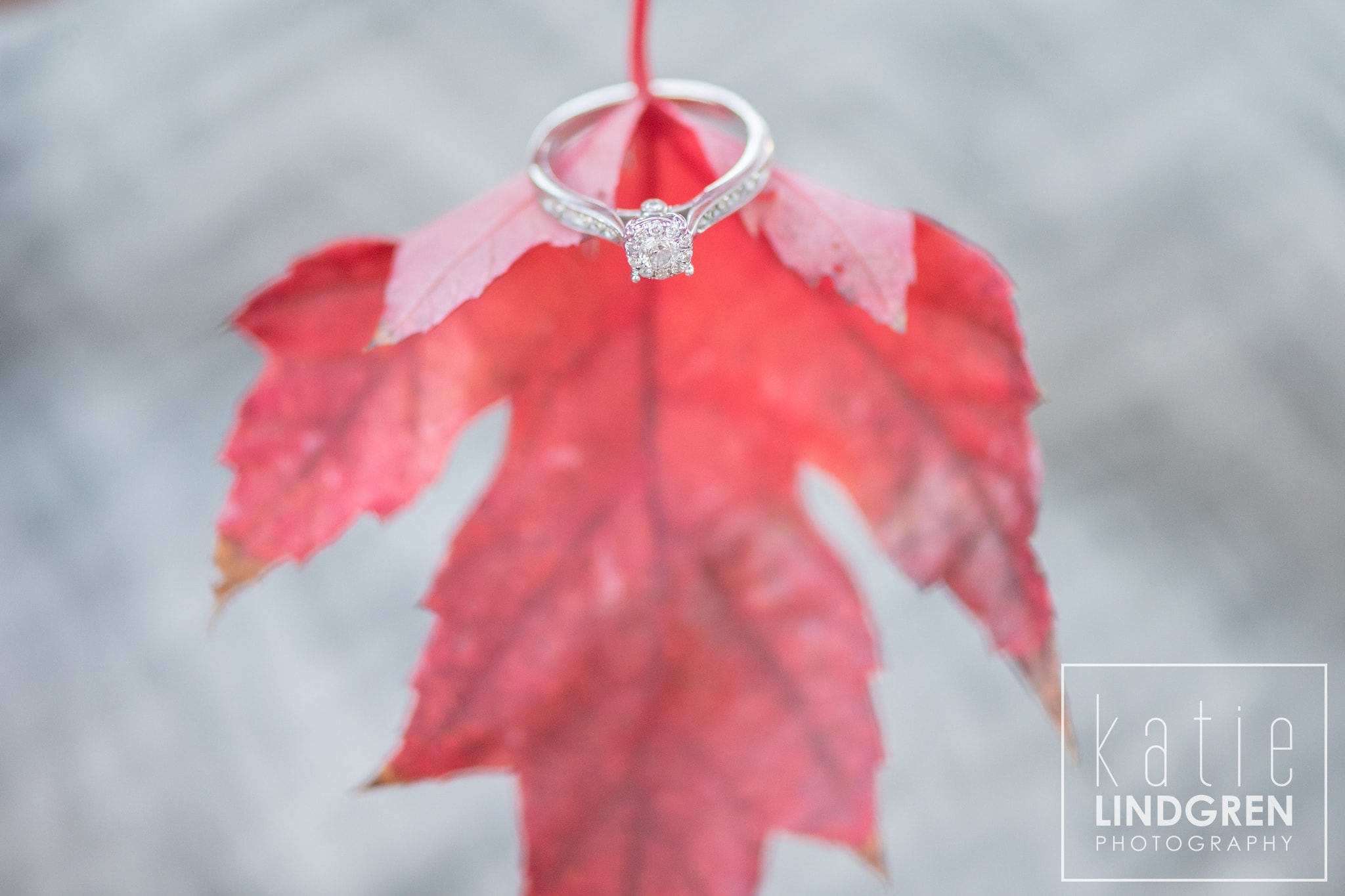 Katie Lindgren Photography