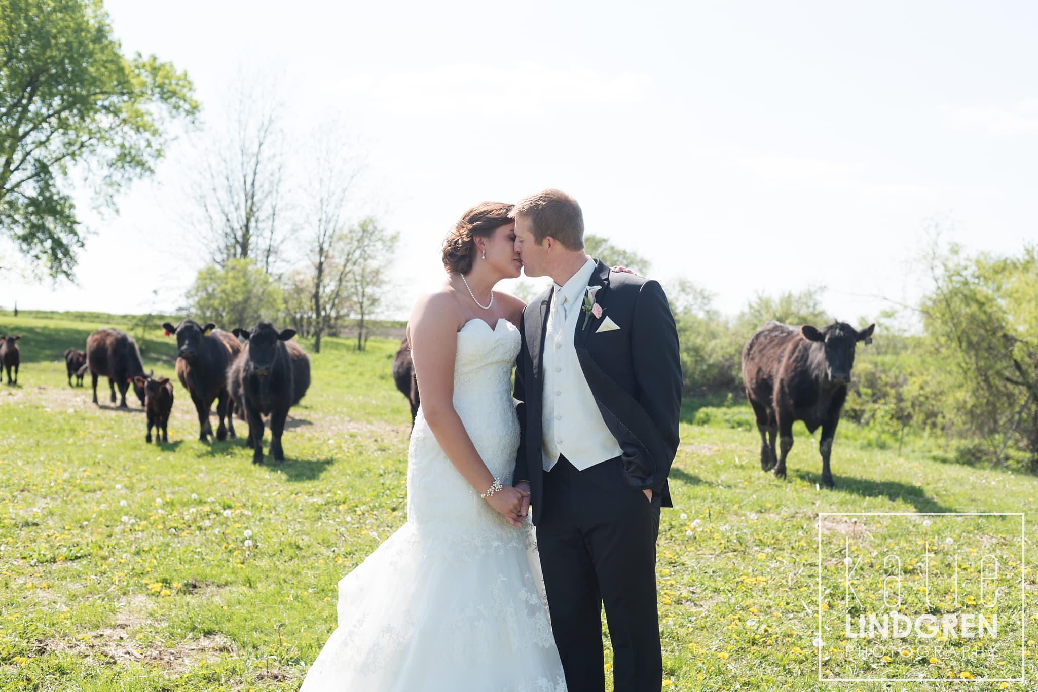 Des Moines Iowa Wedding Photographer