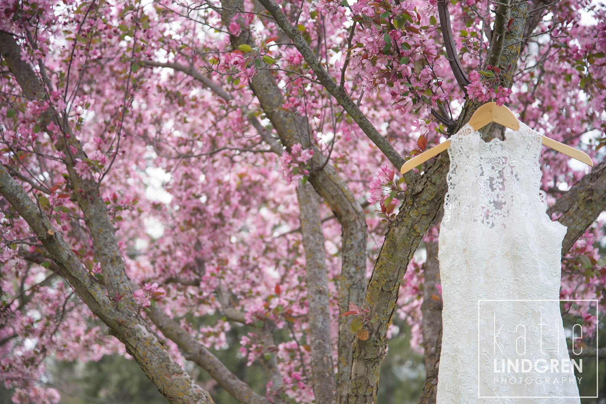 Des Moines Wedding Photographer