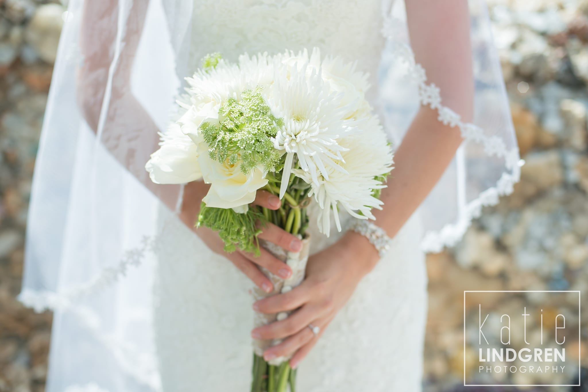 Des Moines Wedding Photographer