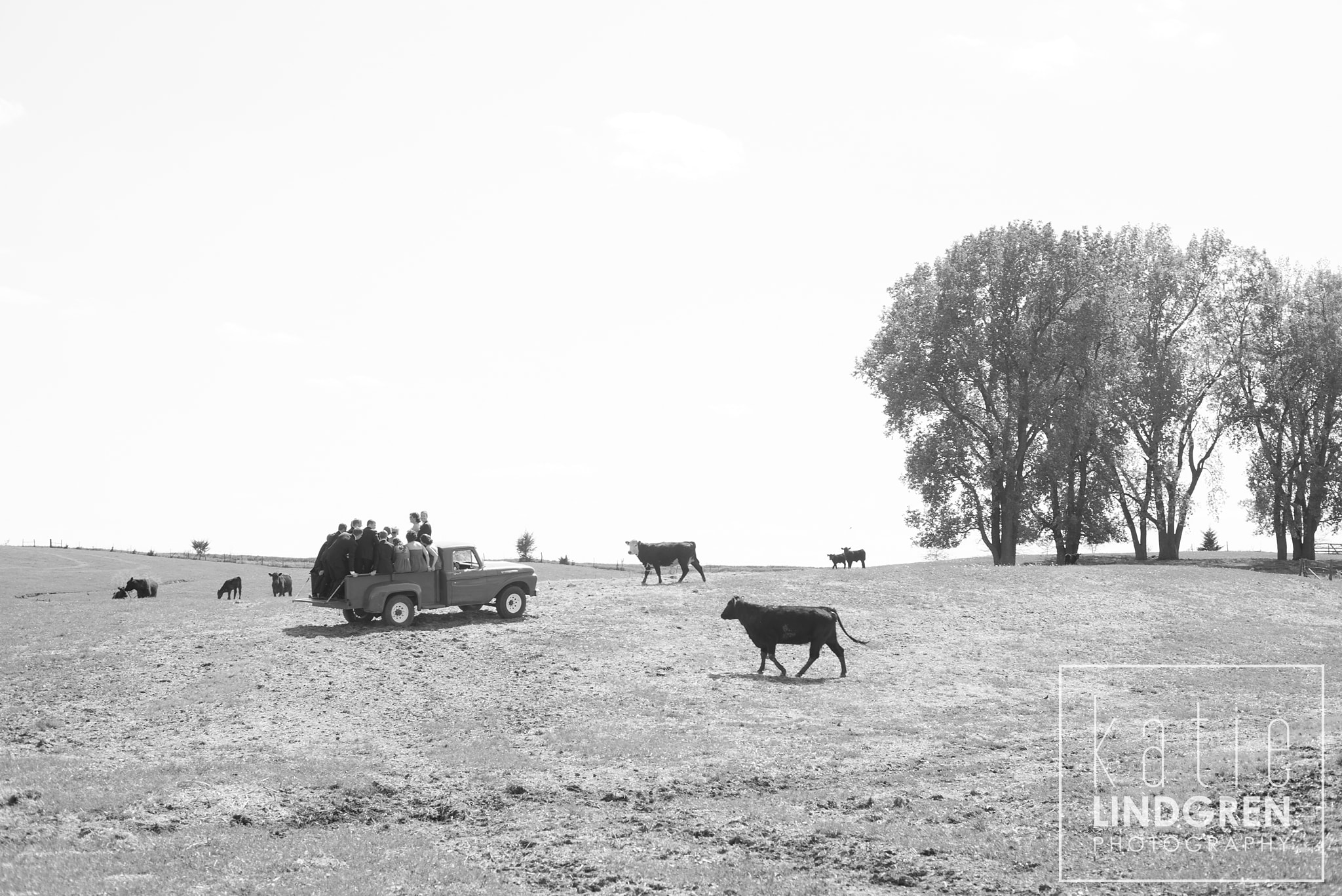 Des Moines Wedding Photographer