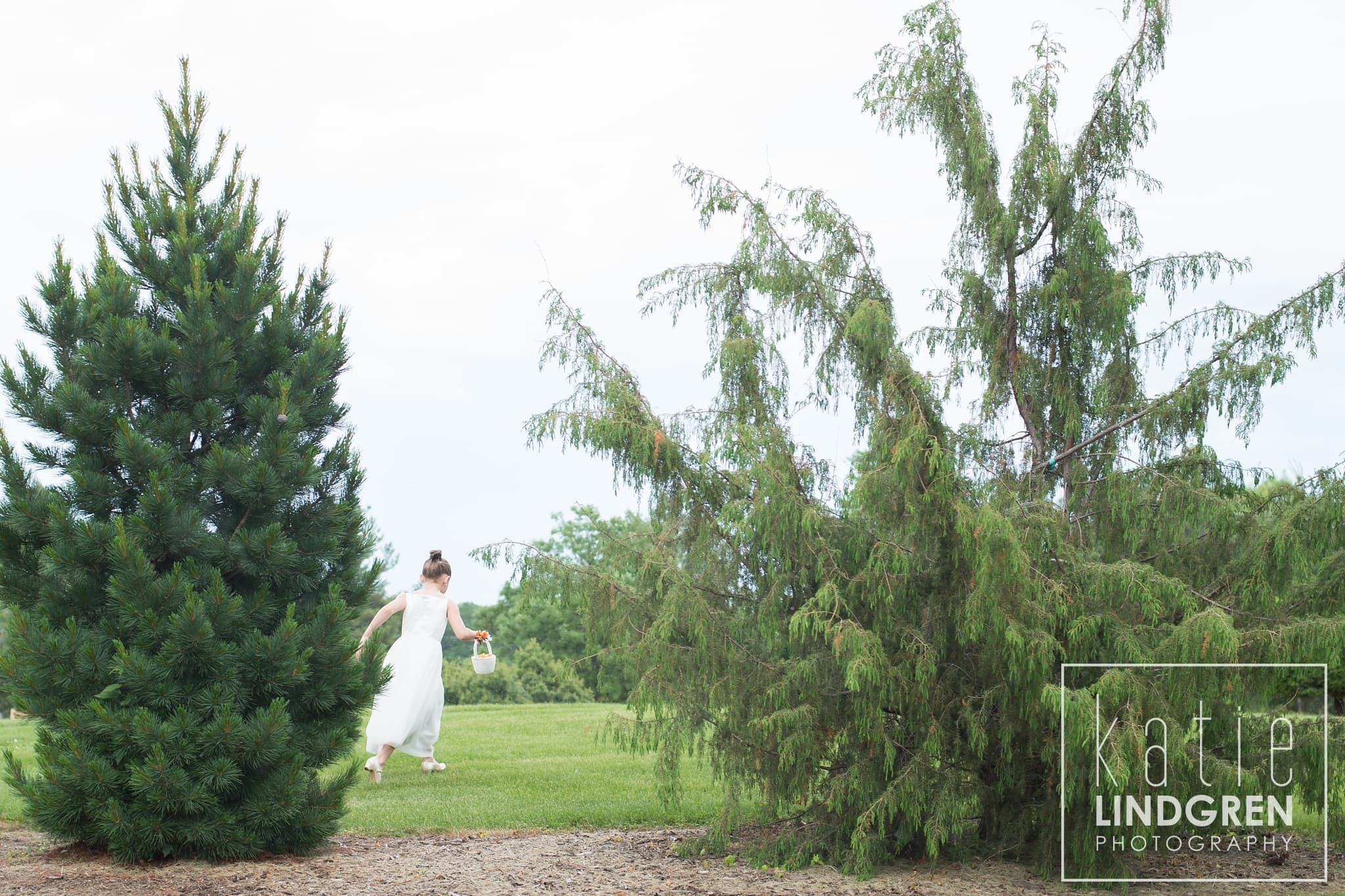 Des Moines Wedding Photographer