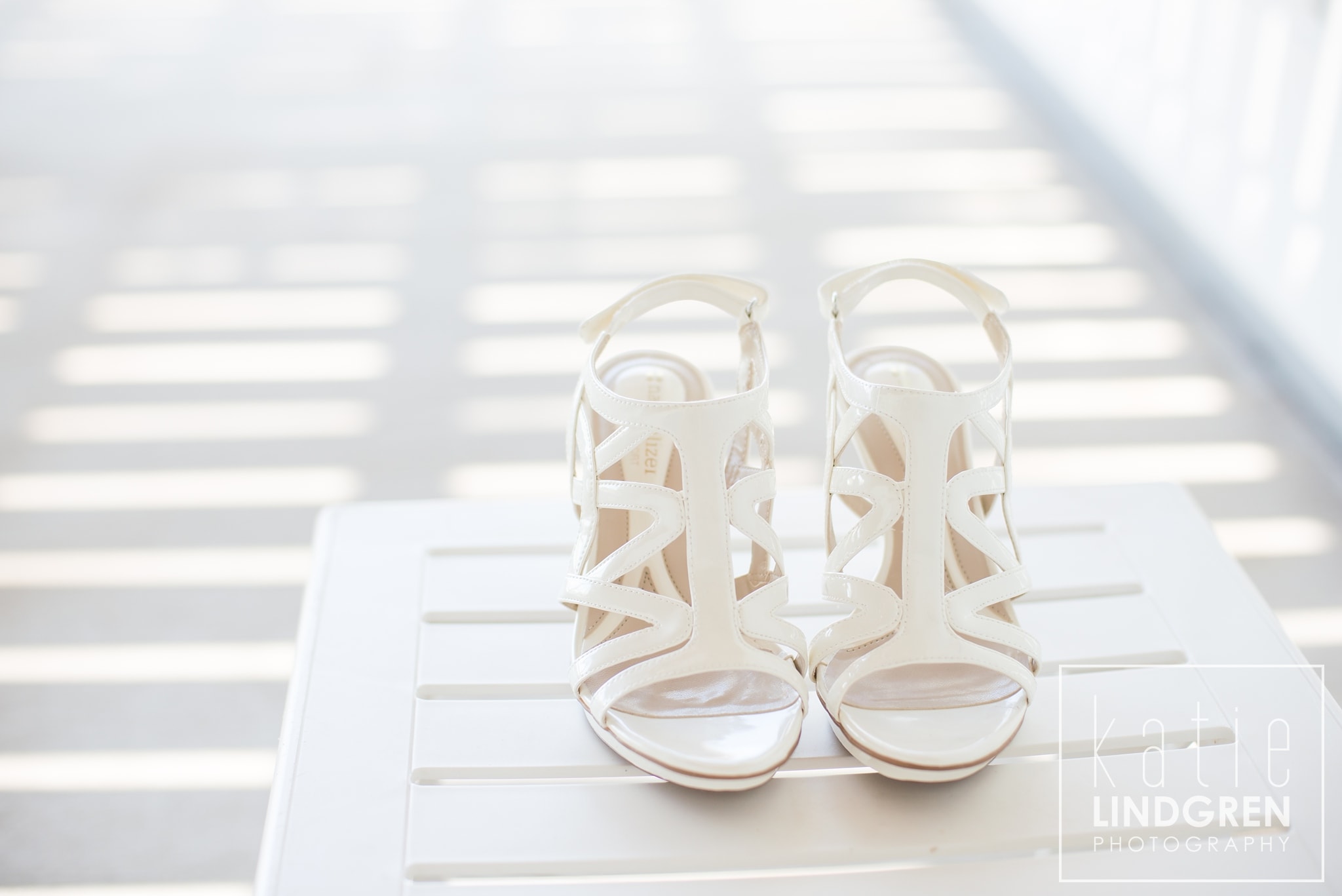Des Moines Wedding Photographer