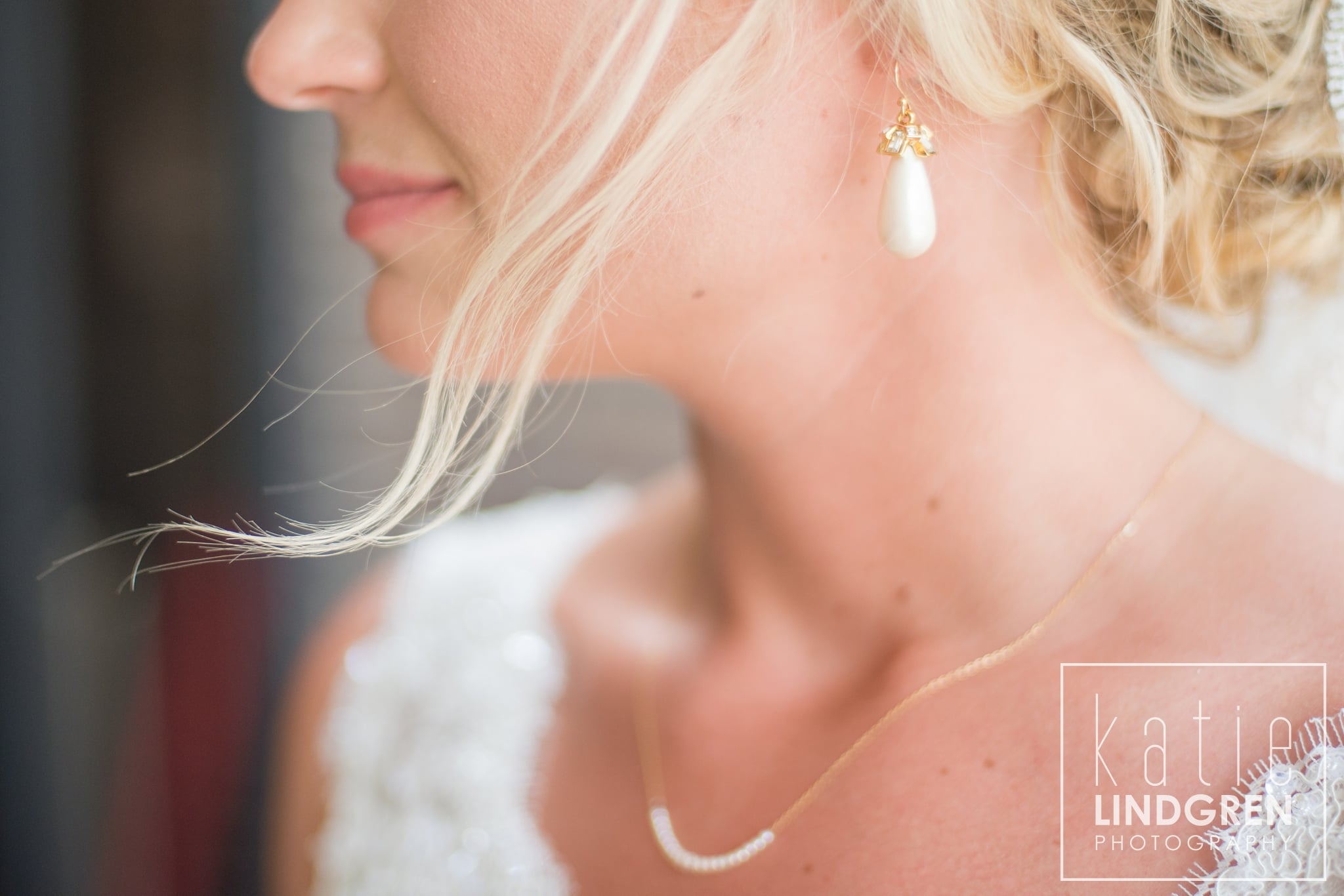 Des Moines Wedding Photographer