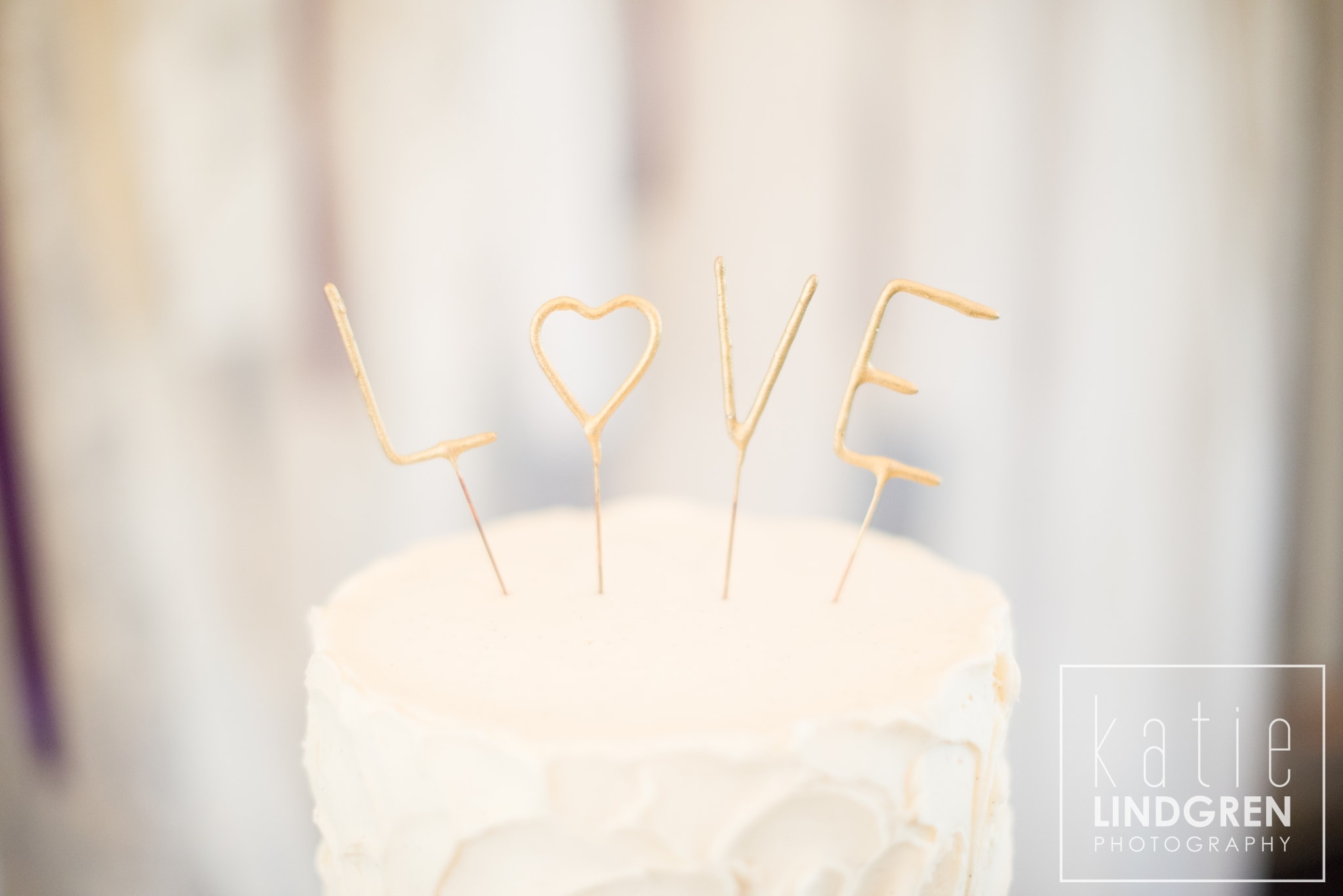 Des Moines Wedding Photographer