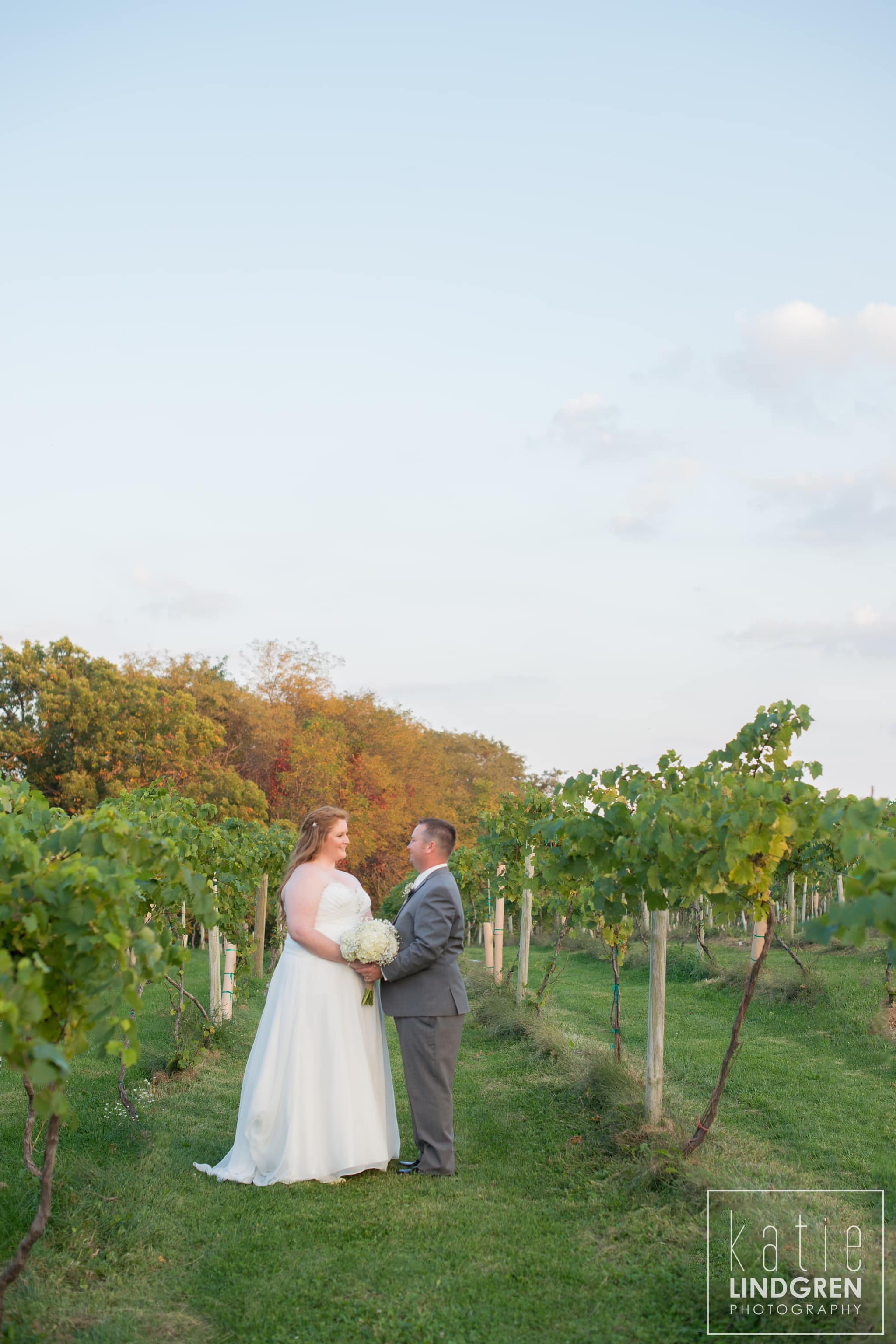 Des Moines Wedding Photographer
