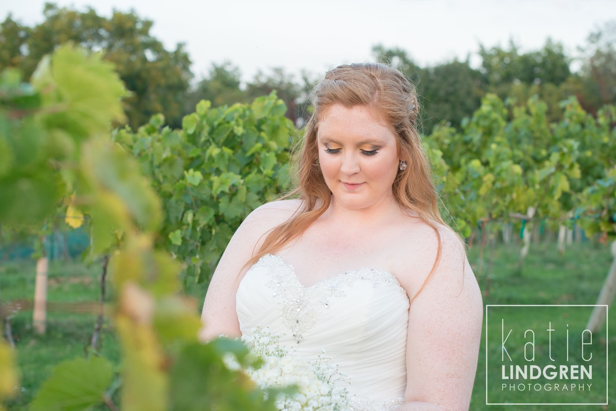 Des Moines Wedding Photographer