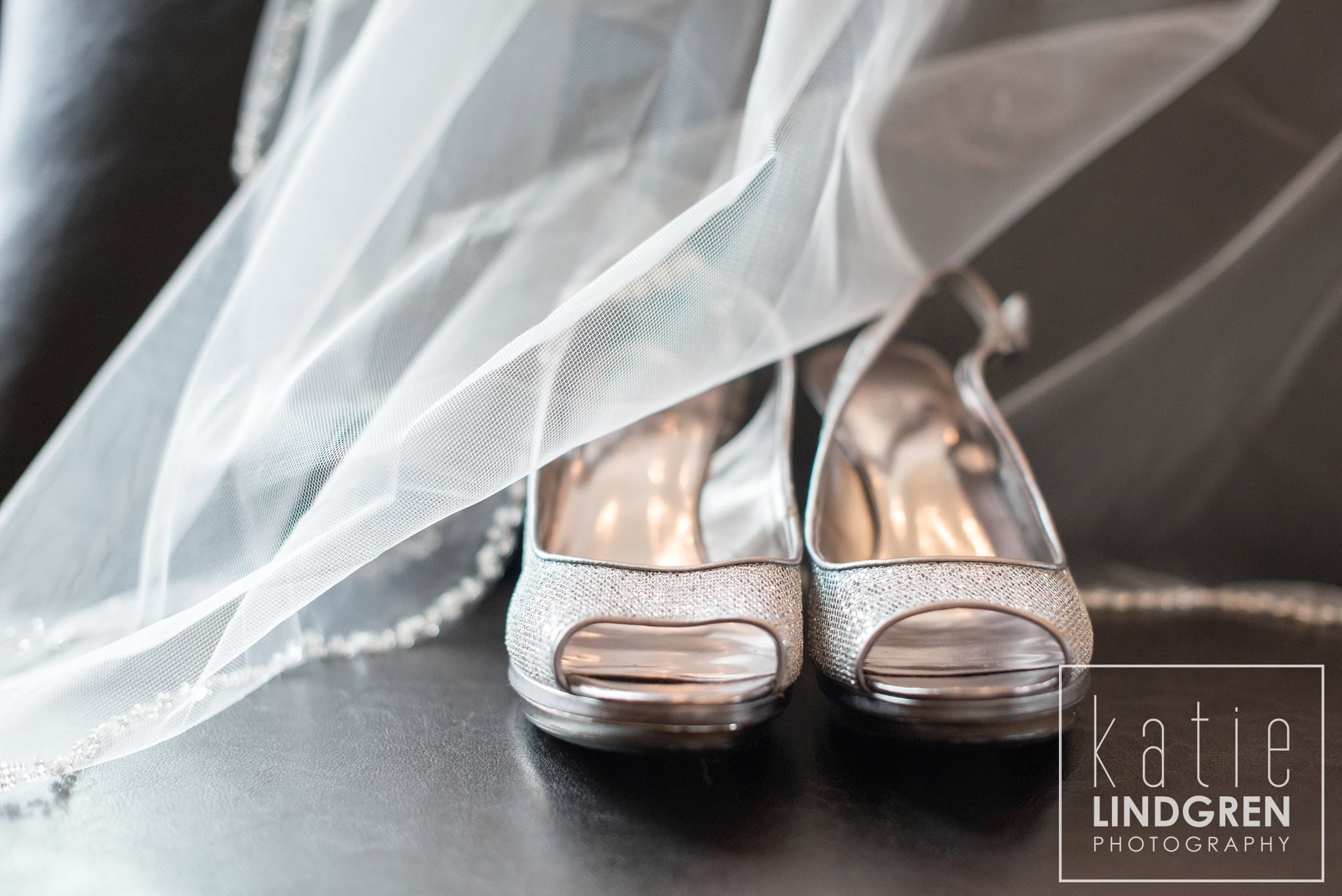 Des Moines Wedding Photographer