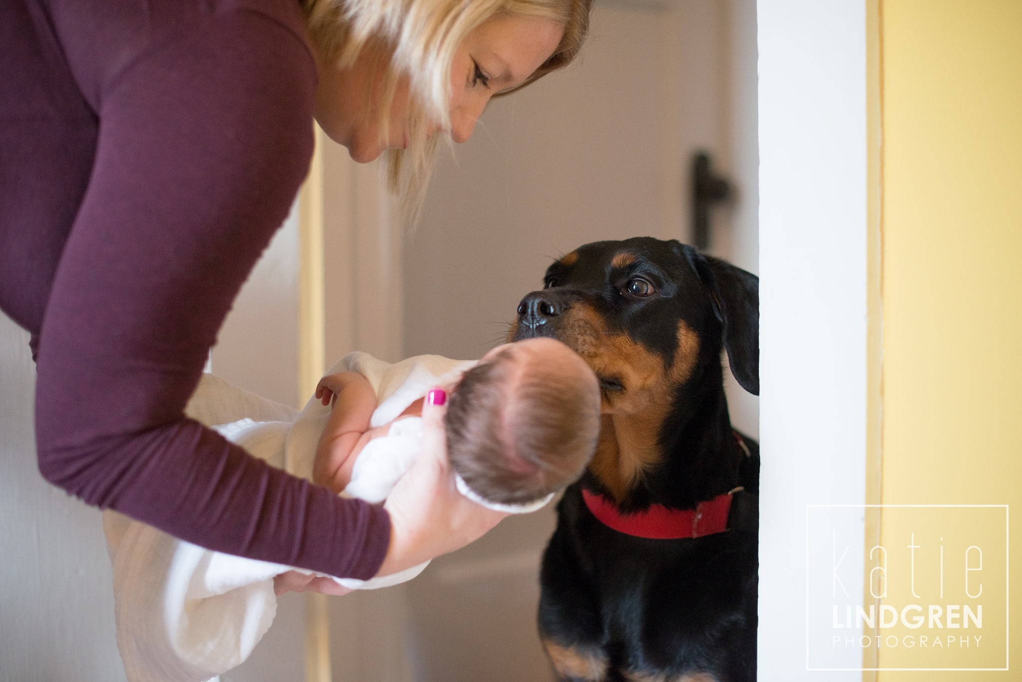 Iowa Newborn Photographer