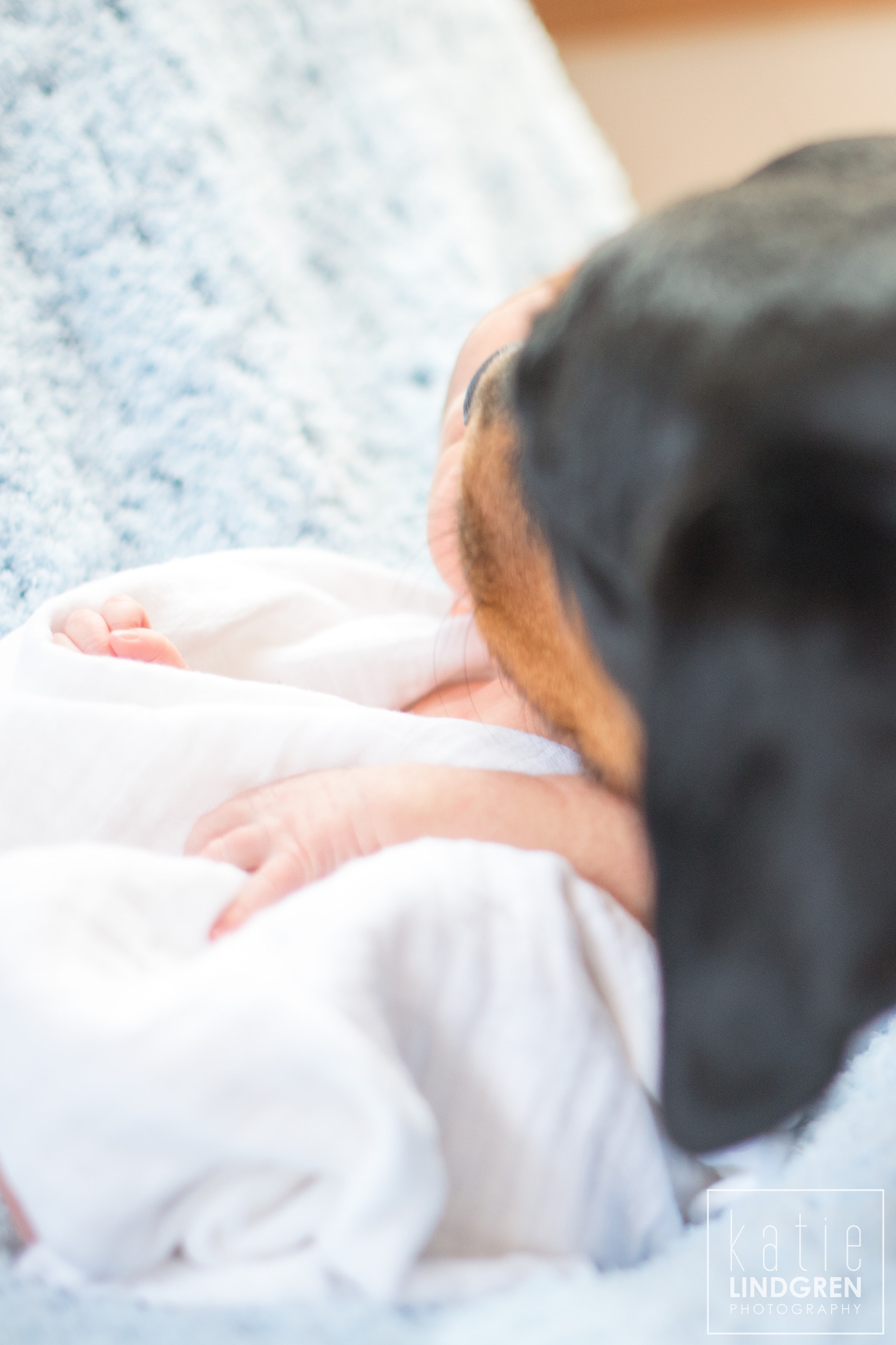 Iowa Newborn Photographer