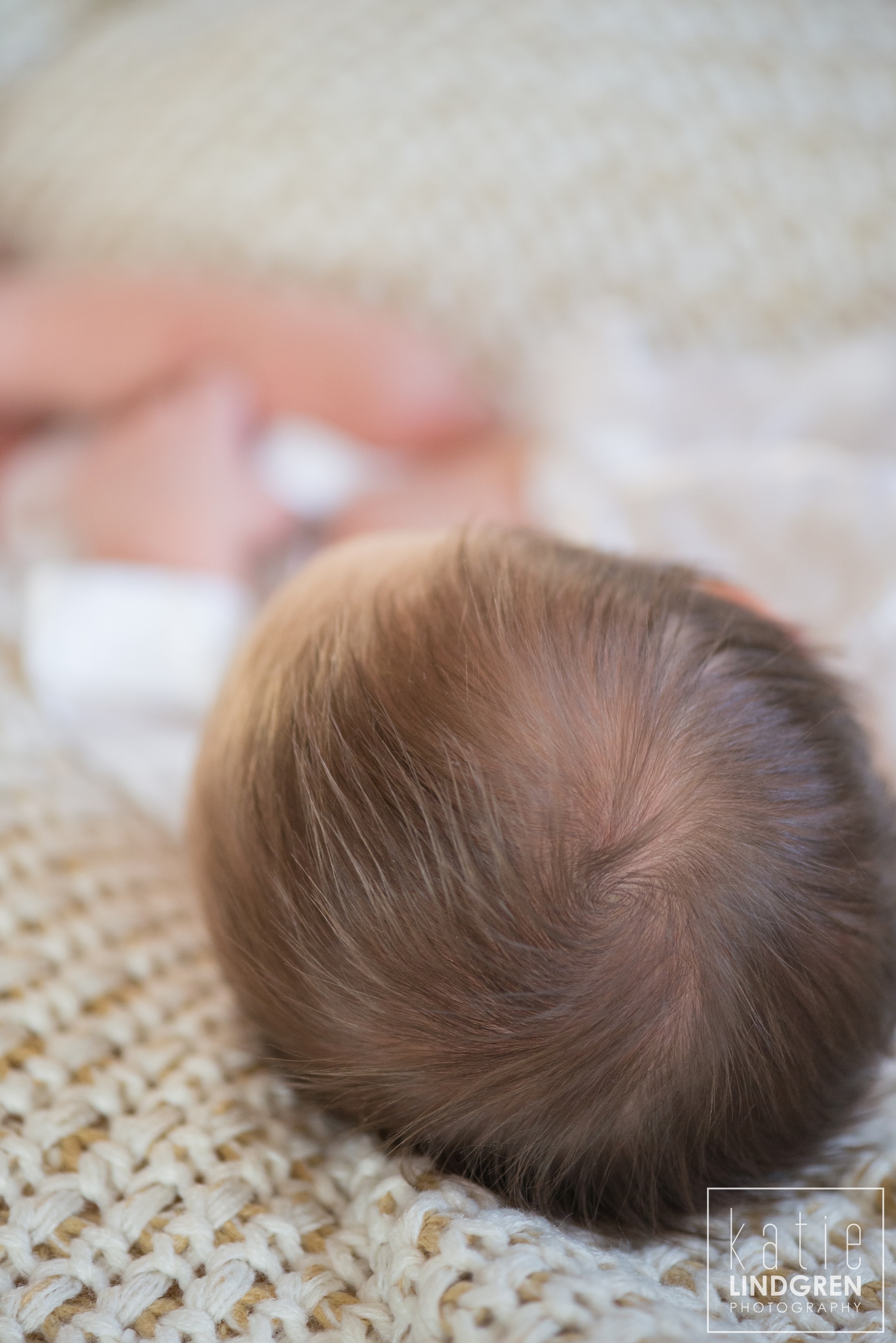 Iowa Newborn Photographer