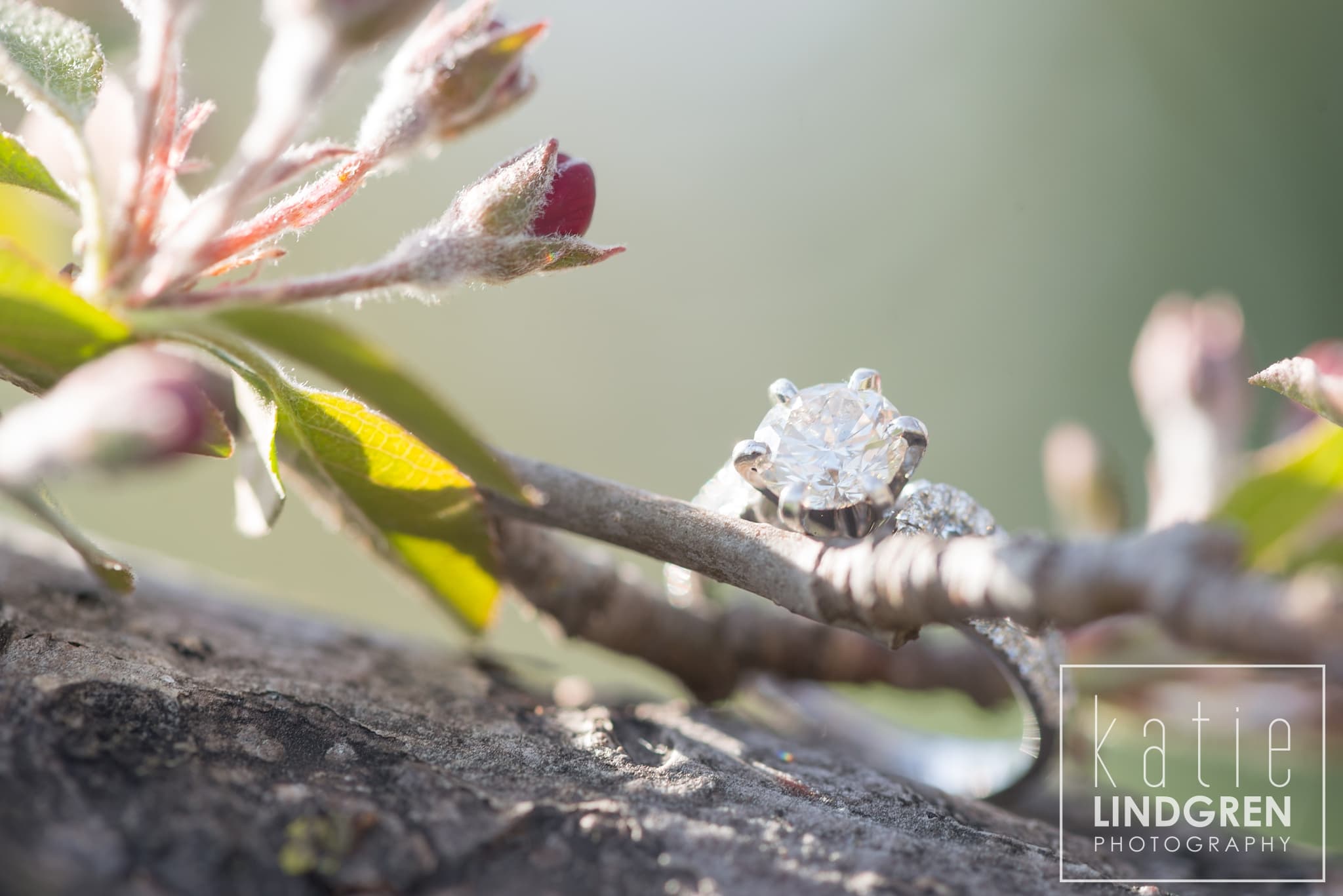 Midwest Engagement Photographer