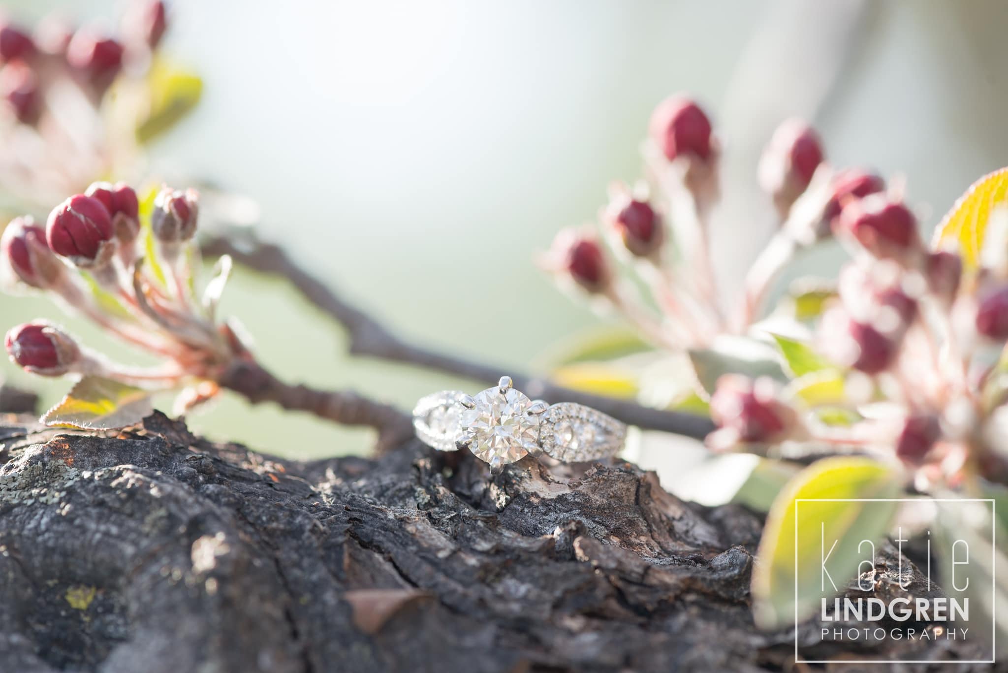 Midwest Engagement Photographer