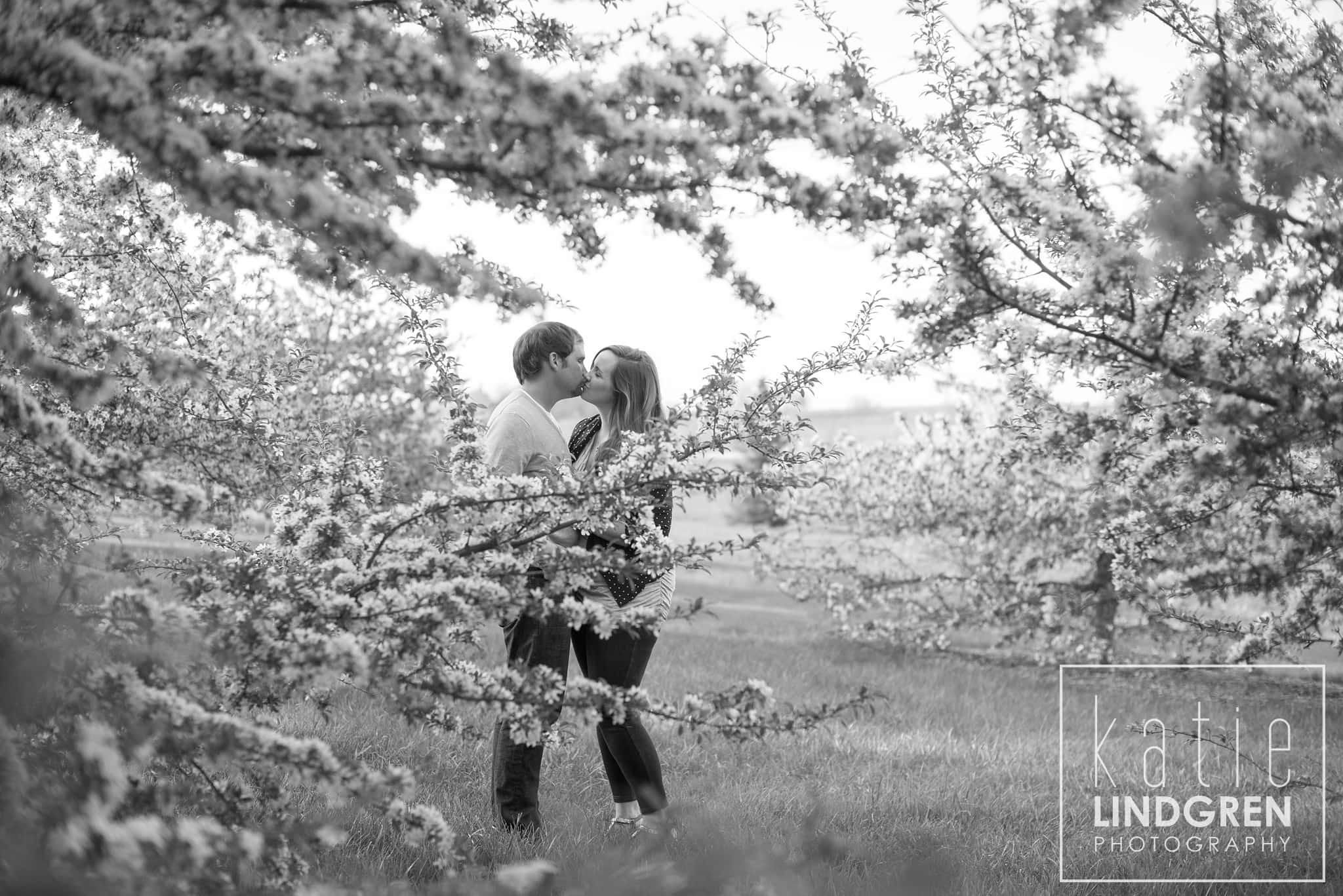 Iowa Engagement and Wedding Photography