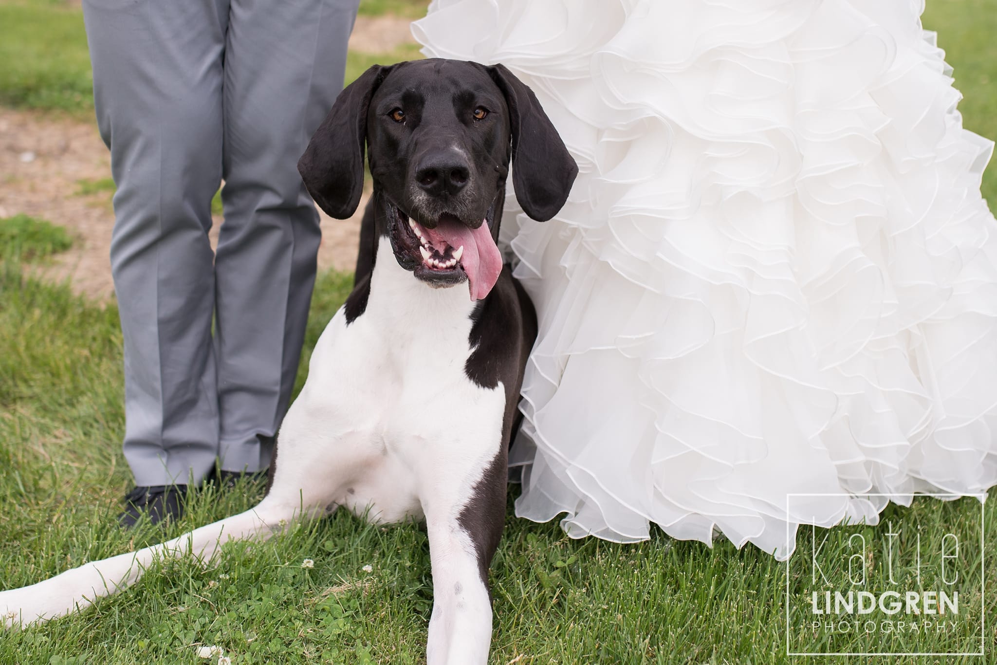 Jasper Winery Wedding