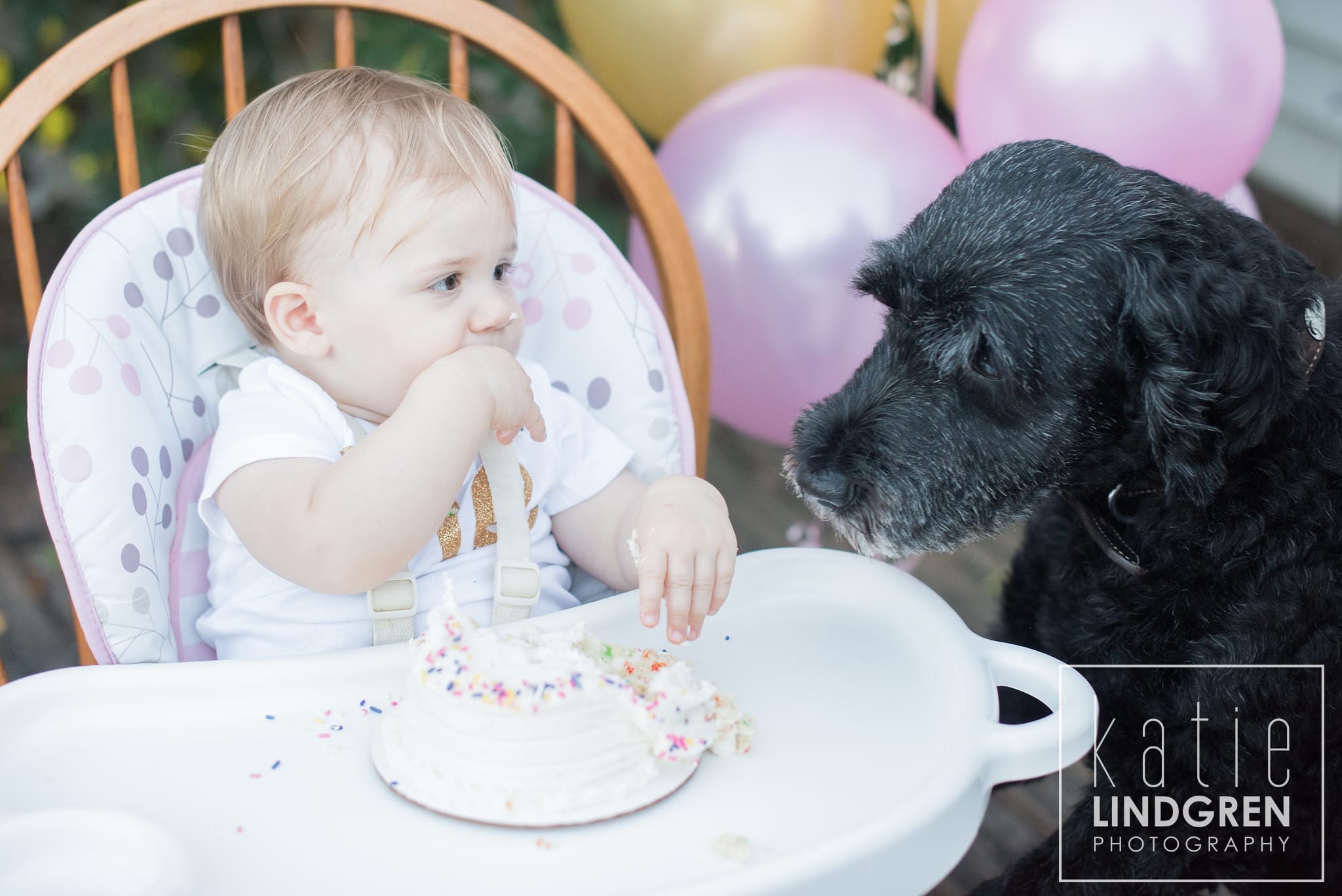 Iowa Family Lifestyle Photographer