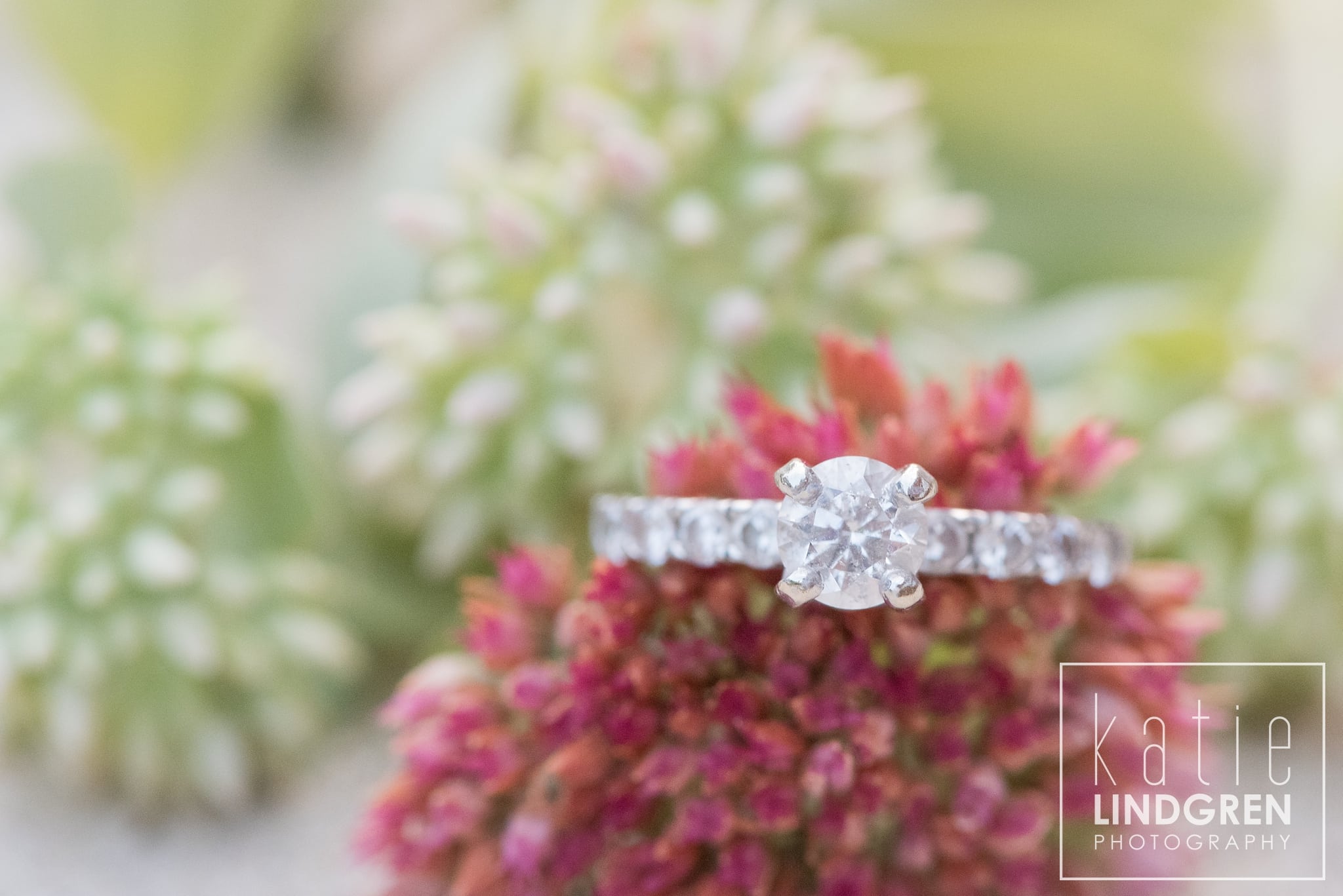 Iowa City Engagement Photographer