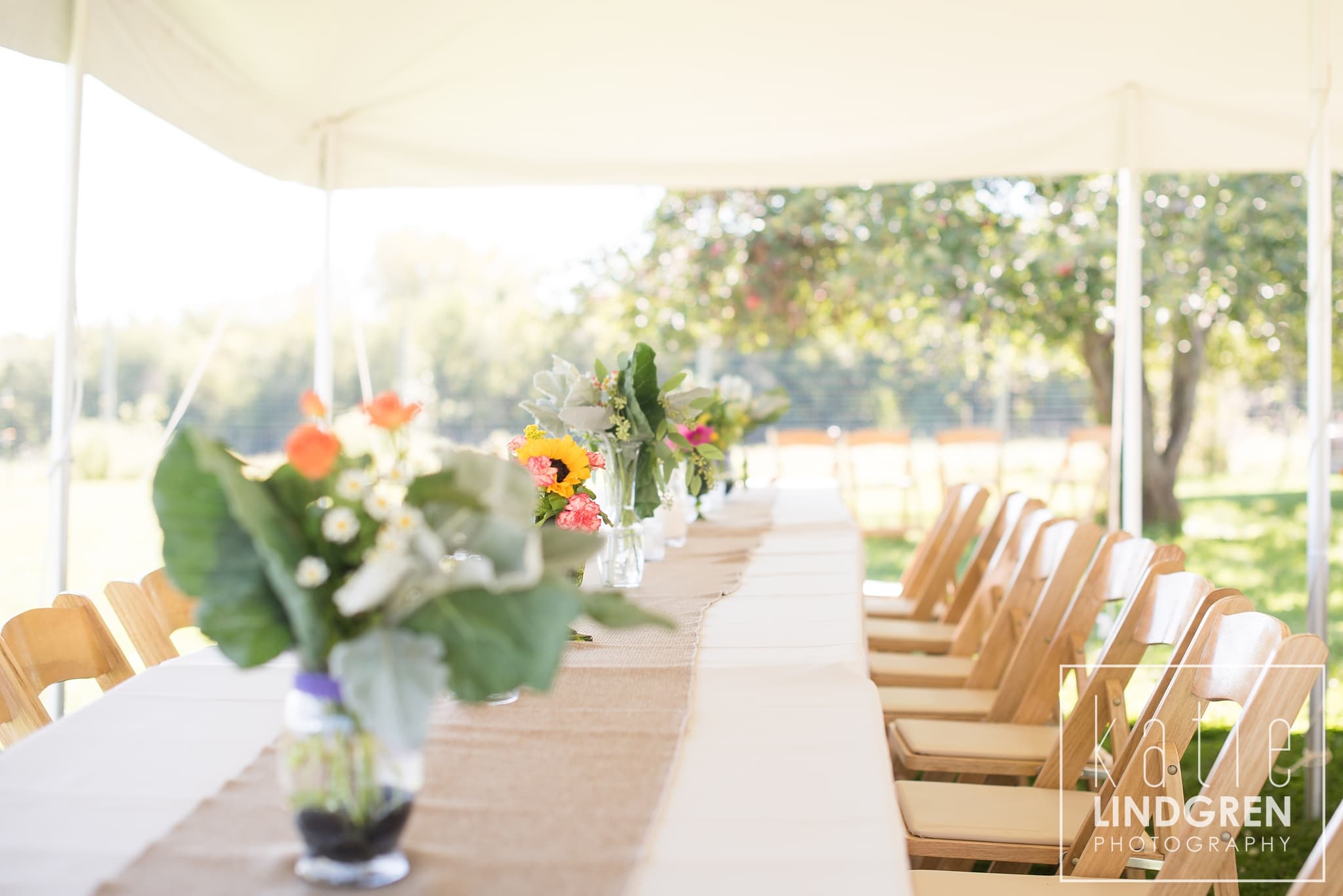 Reception Photographer
