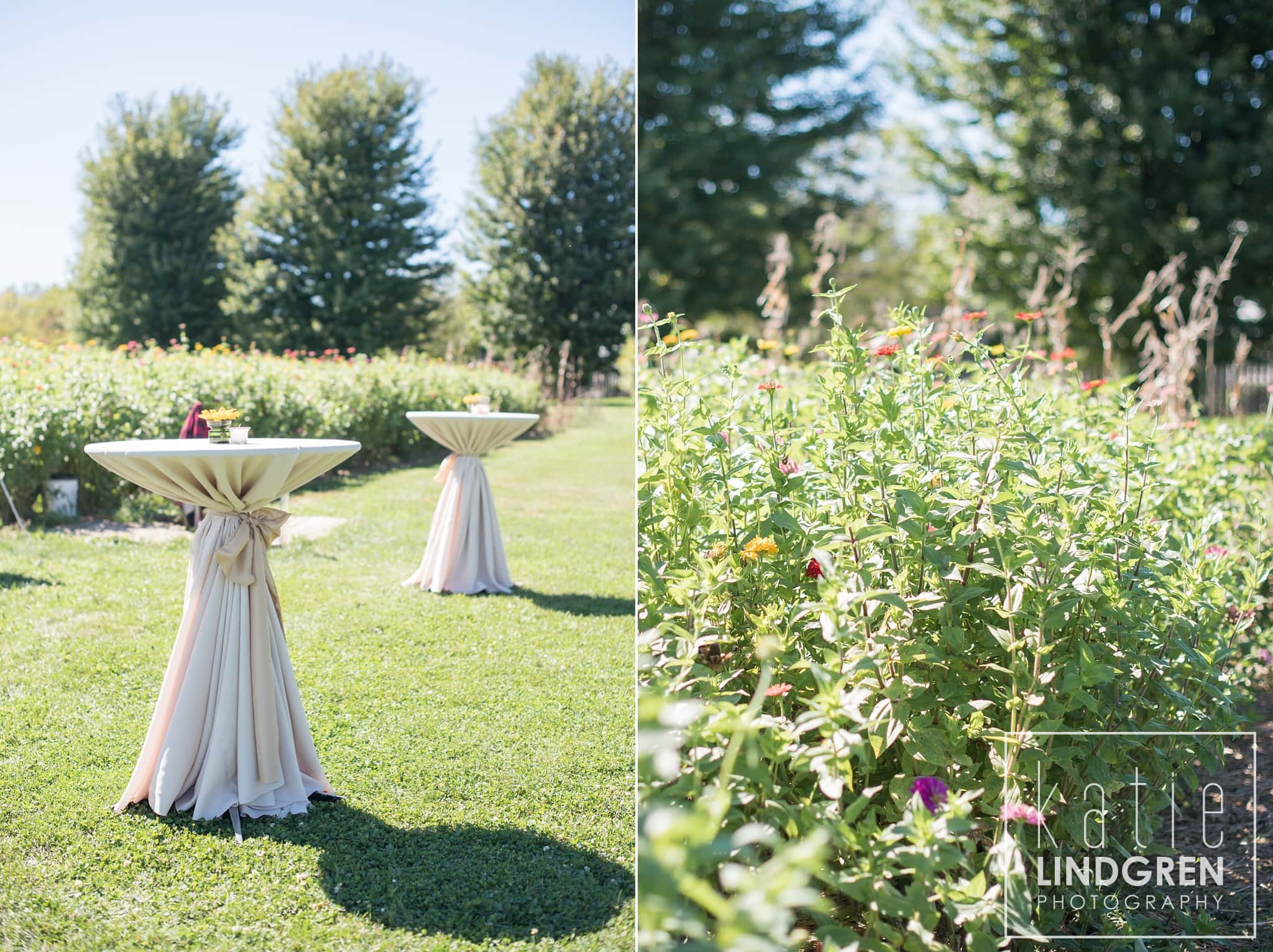 Reception Photographer